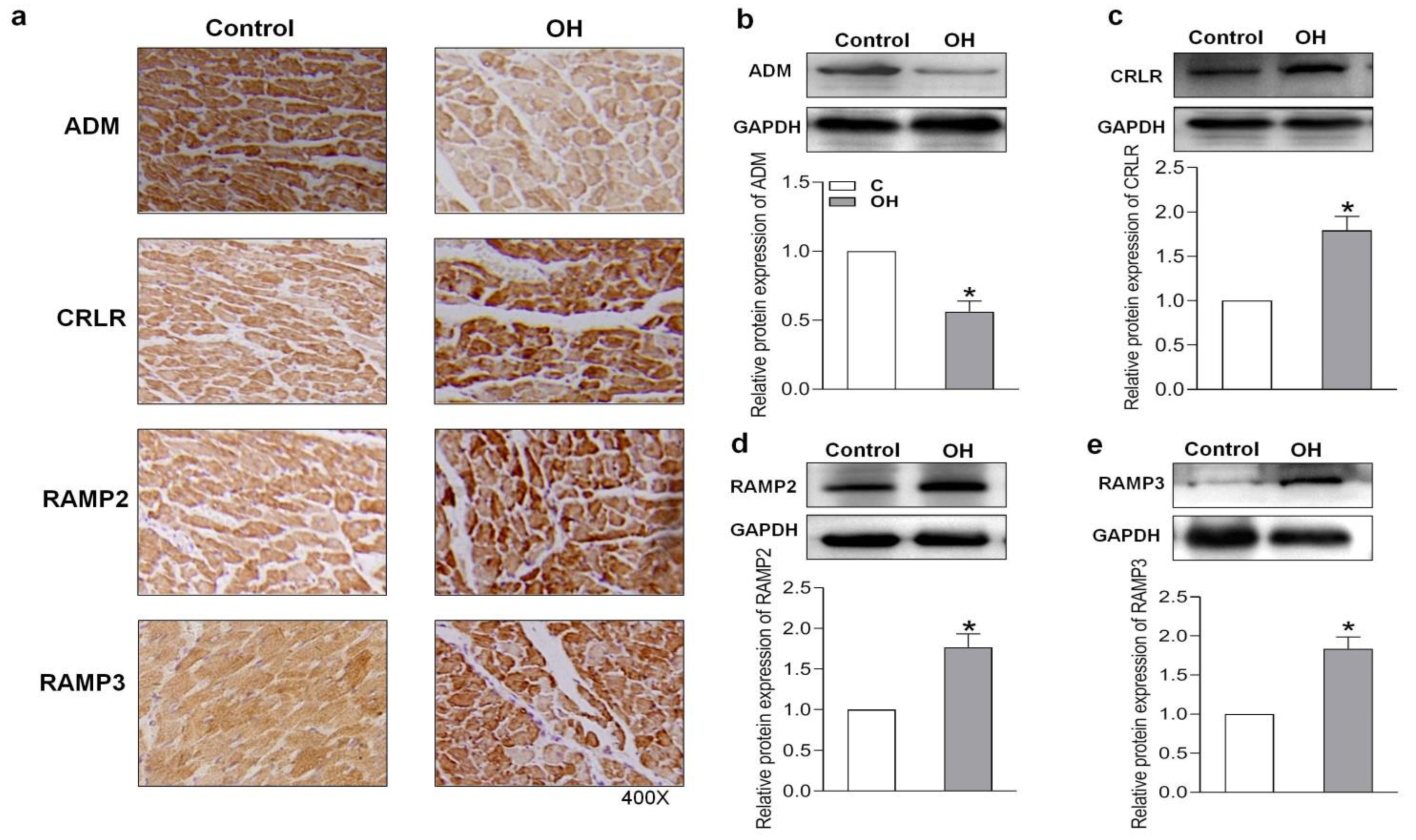 Pharmaceuticals 15 00719 g003 550