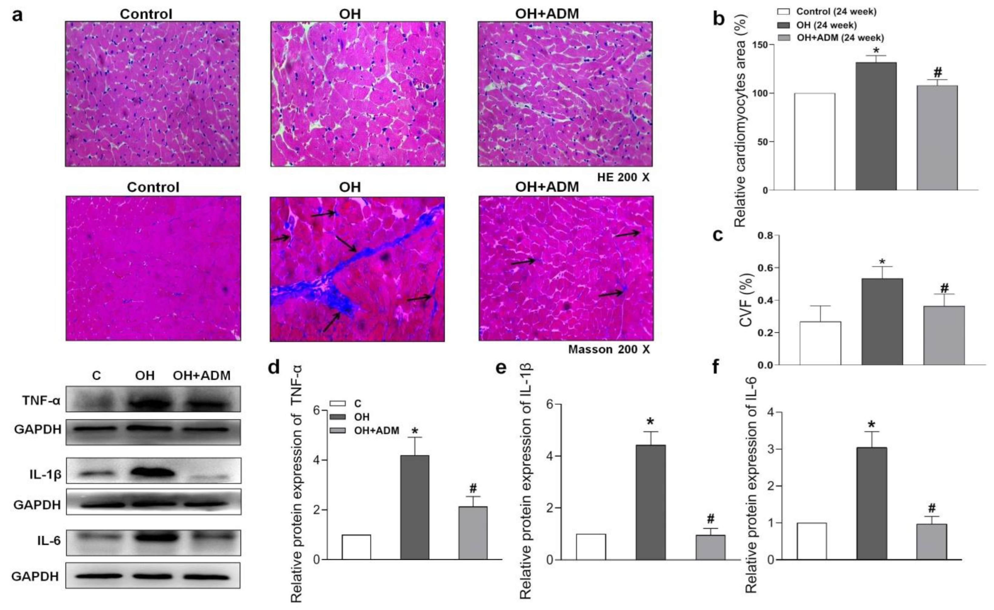 Pharmaceuticals 15 00719 g004 550