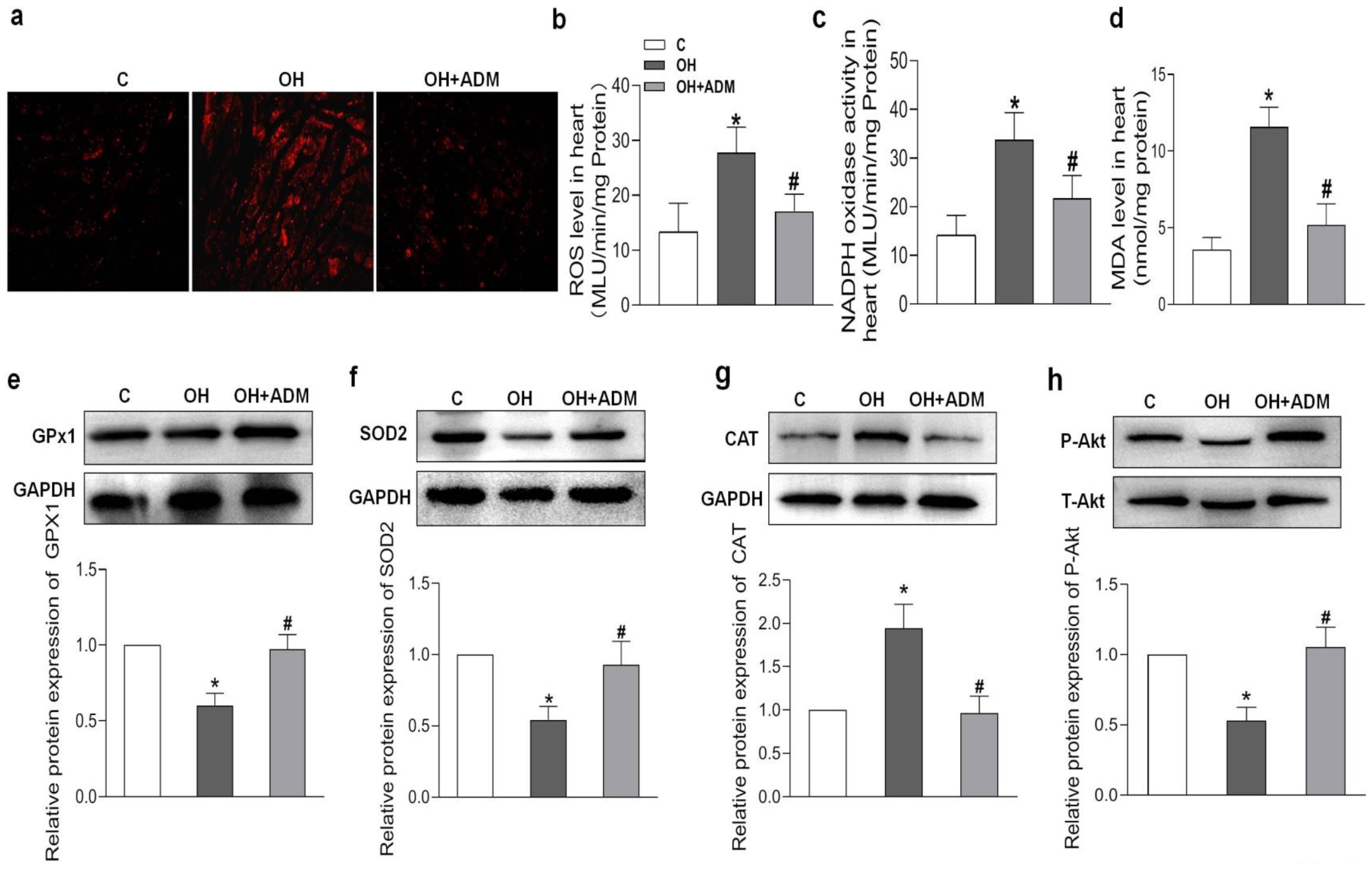 Pharmaceuticals 15 00719 g005 550