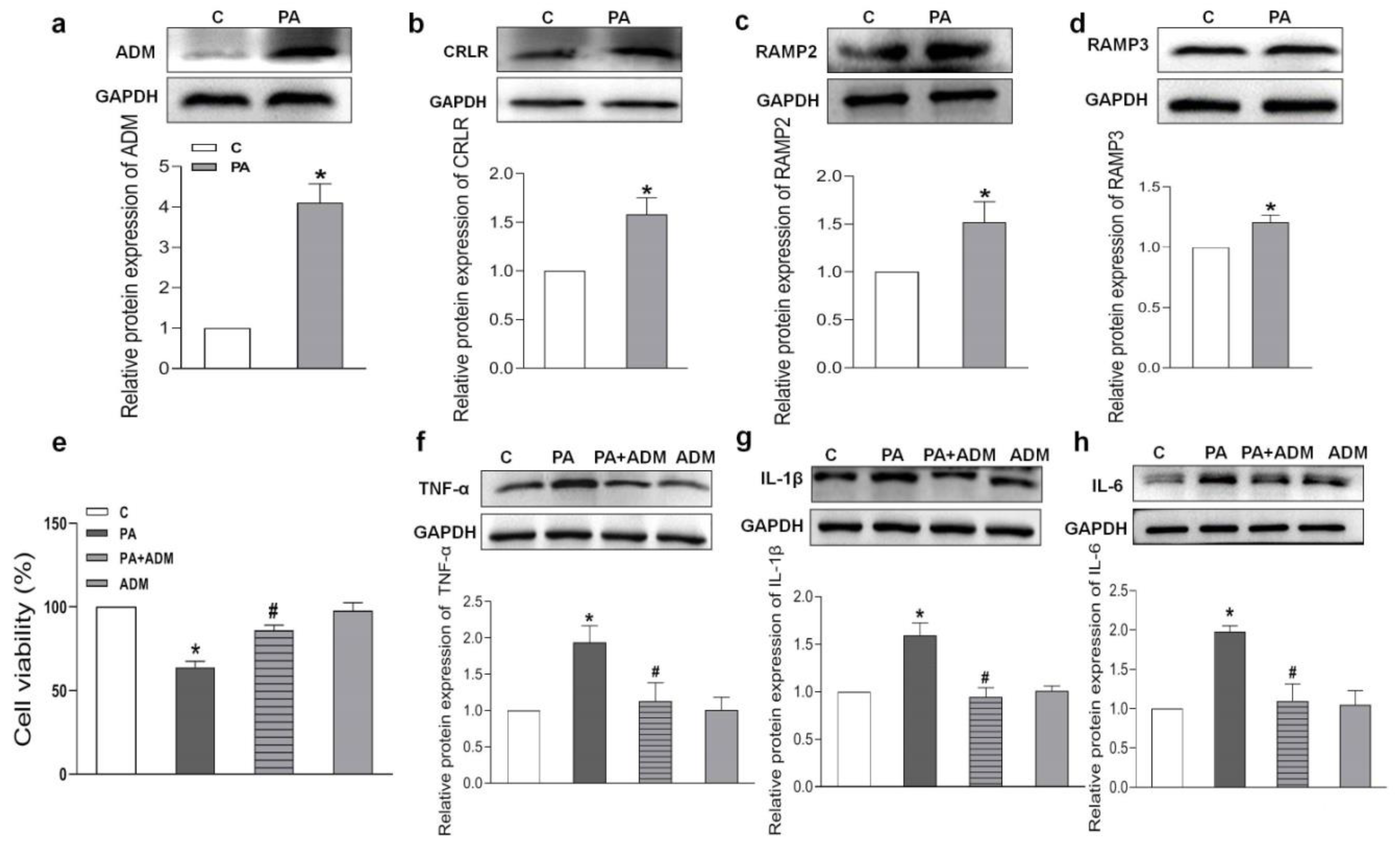 Pharmaceuticals 15 00719 g006 550