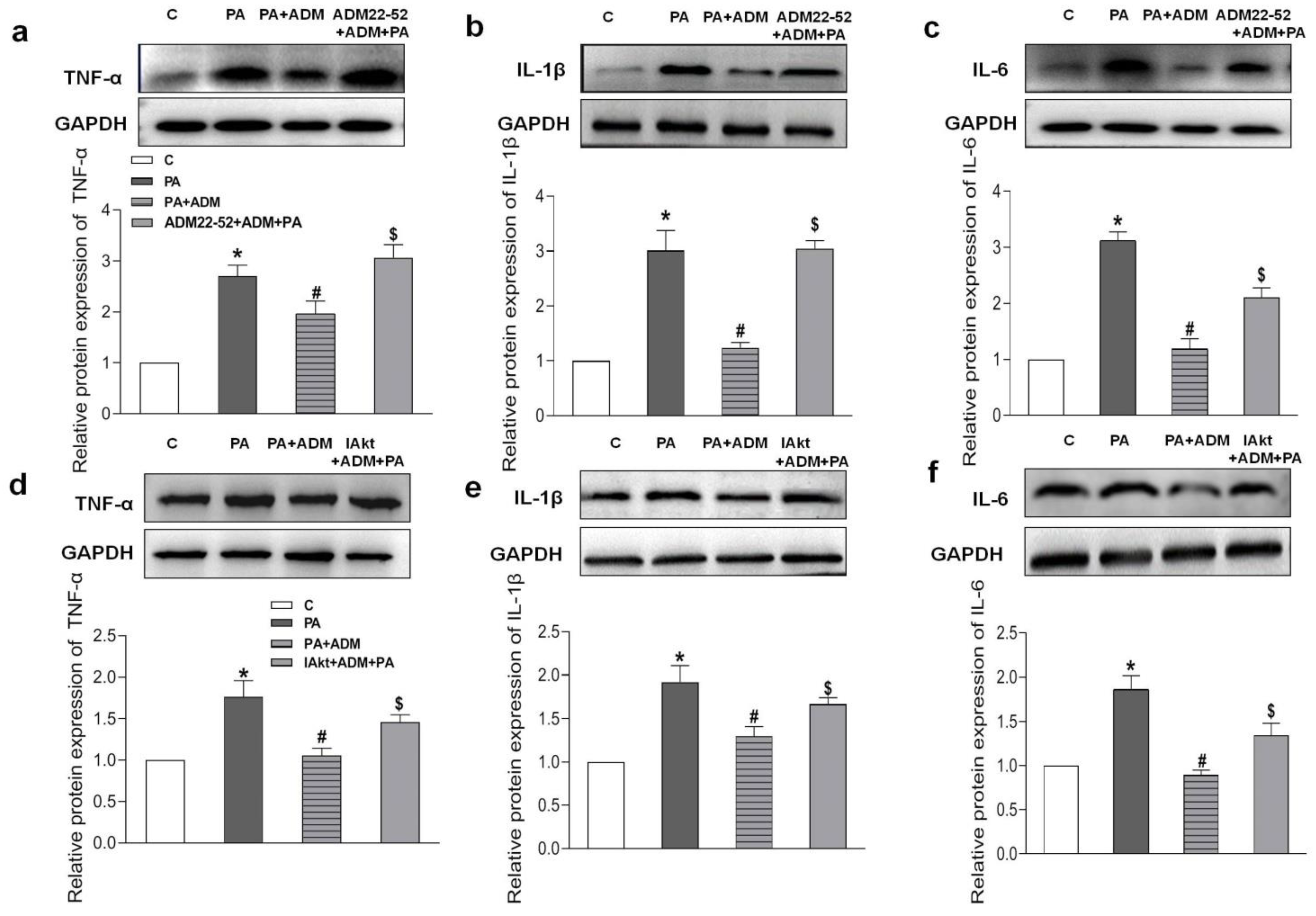 Pharmaceuticals 15 00719 g008 550