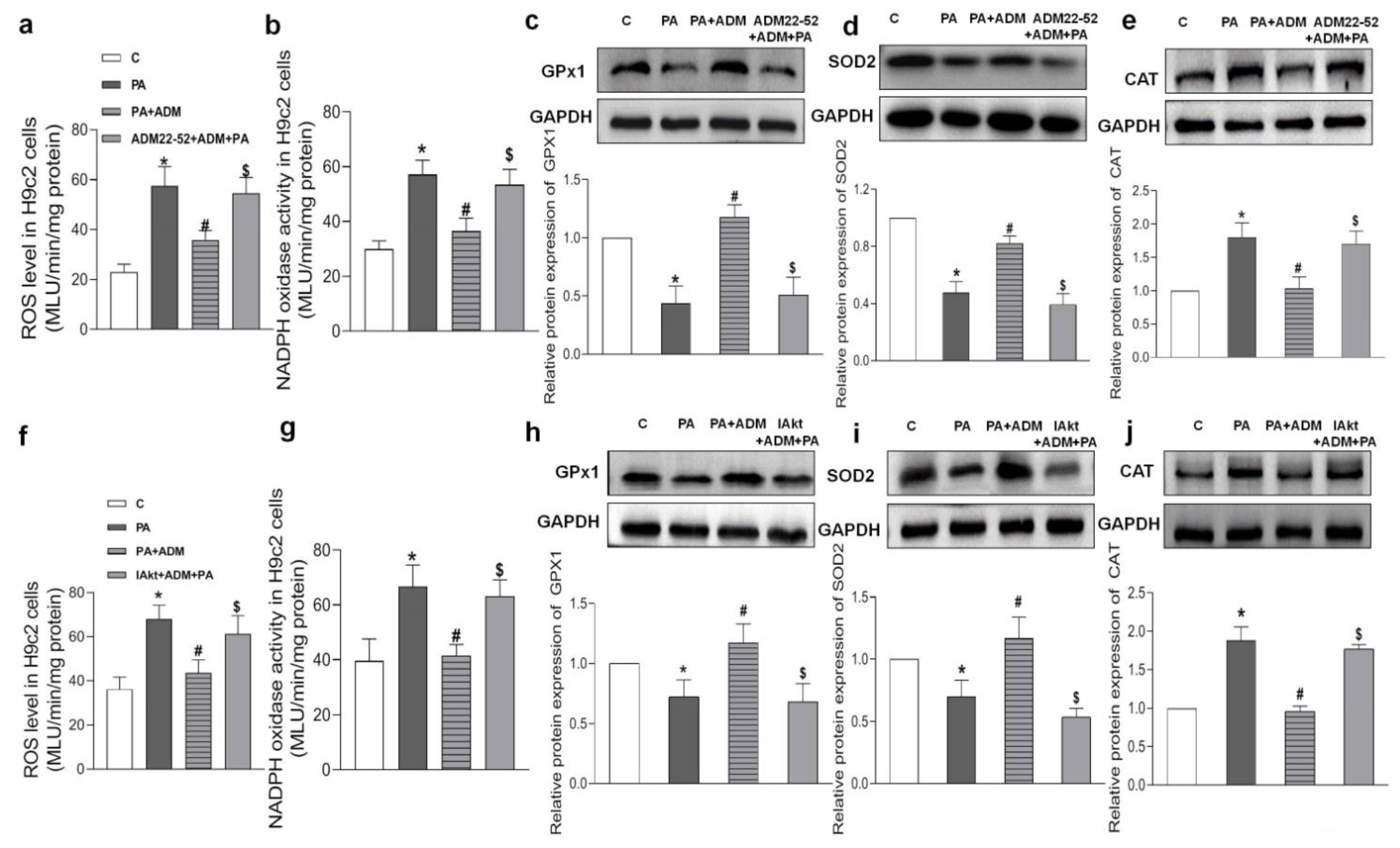 Pharmaceuticals 15 00719 g009 550
