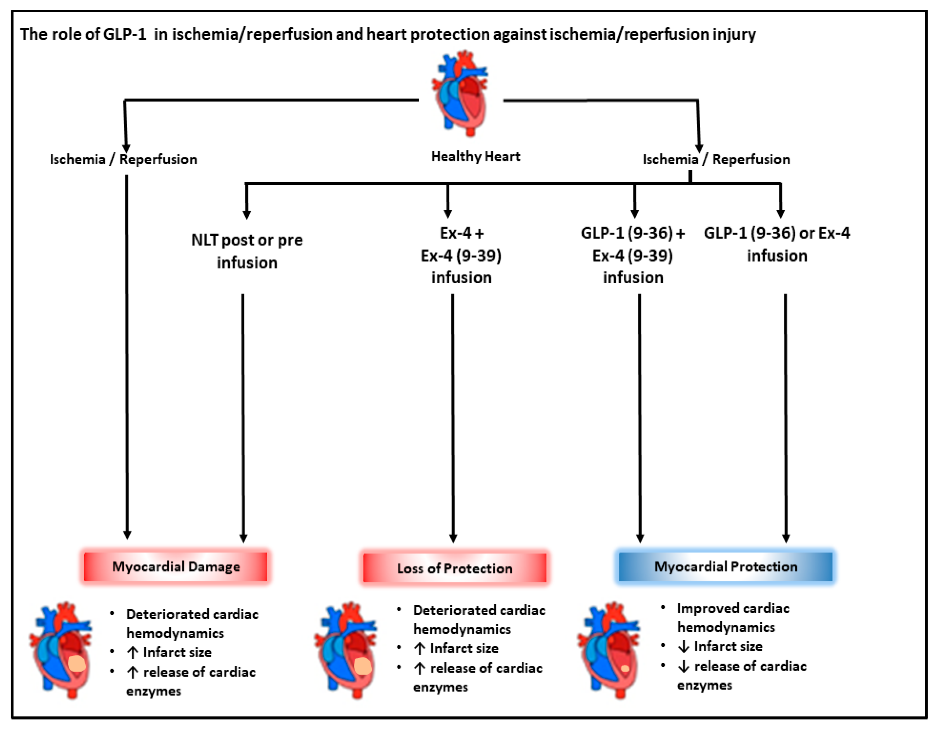 Pharmaceuticals 15 00720 g009