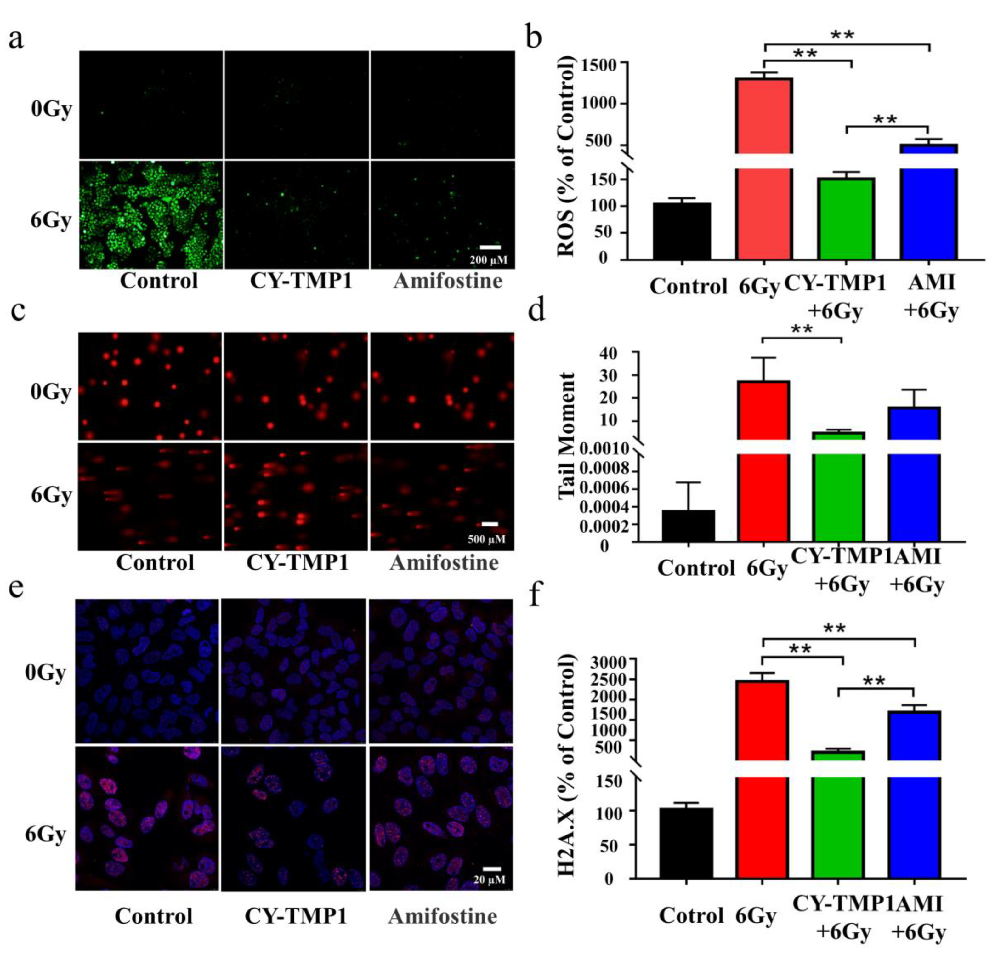 Pharmaceuticals 15 00721 g002