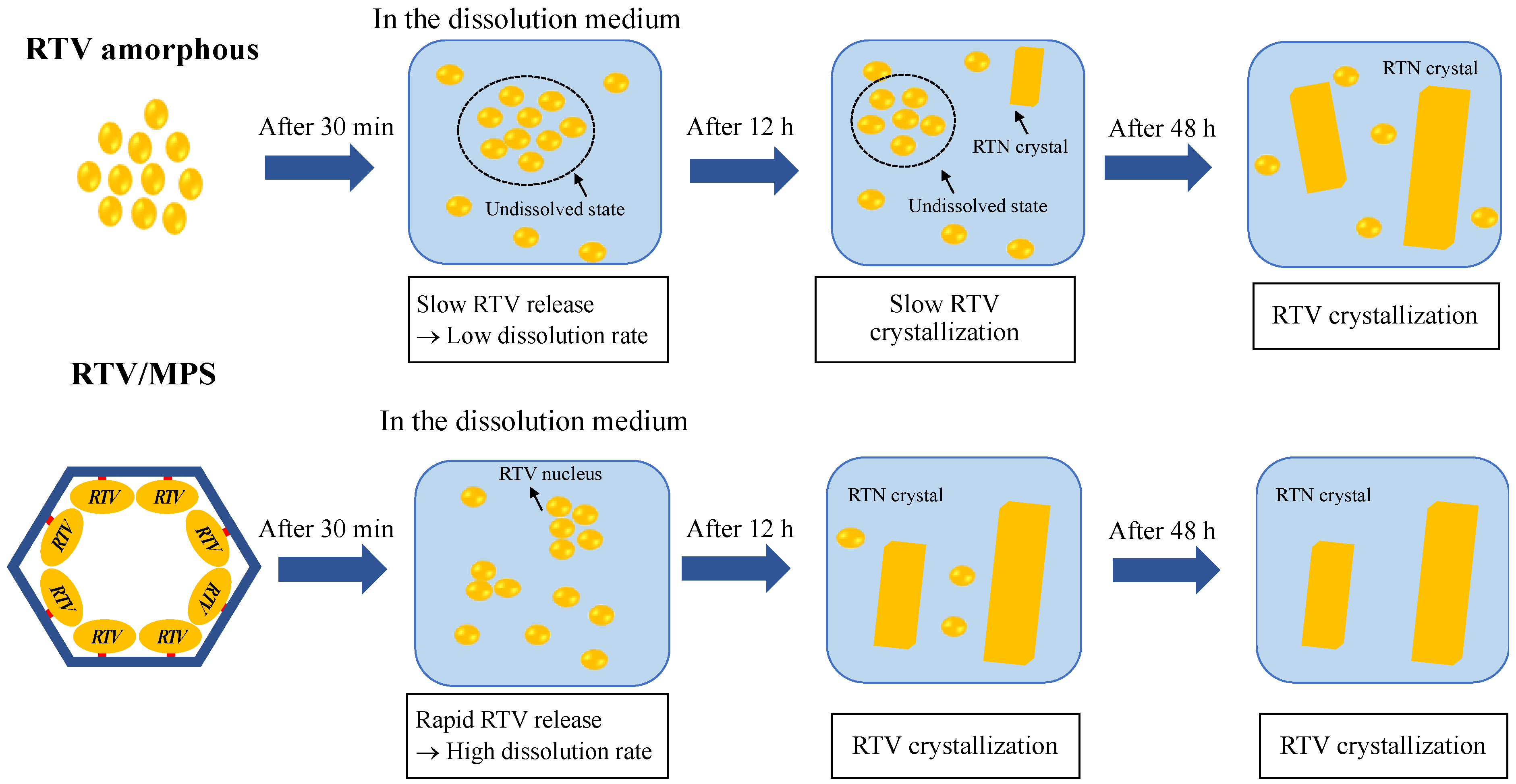 Pharmaceuticals 15 00730 g011