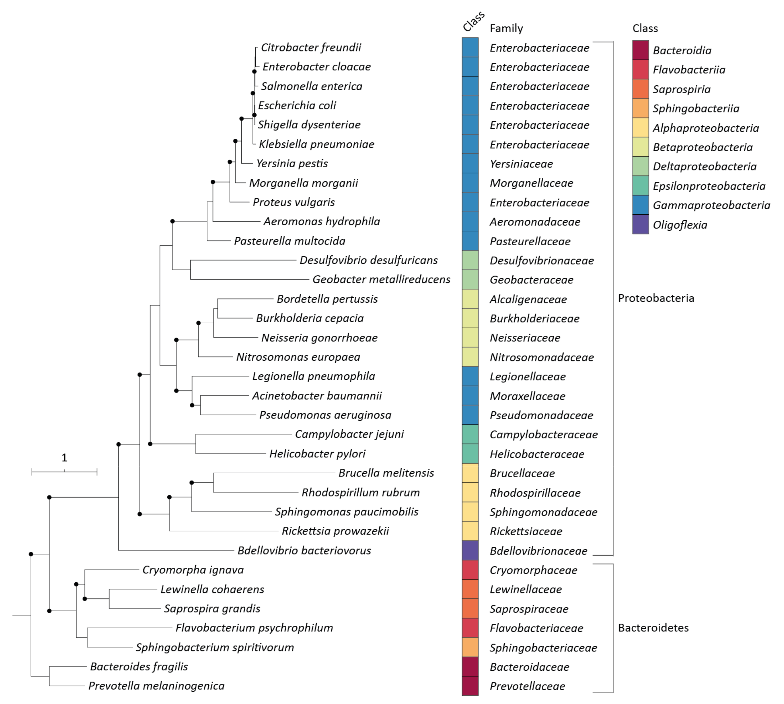 Pharmaceuticals 15 00731 g005