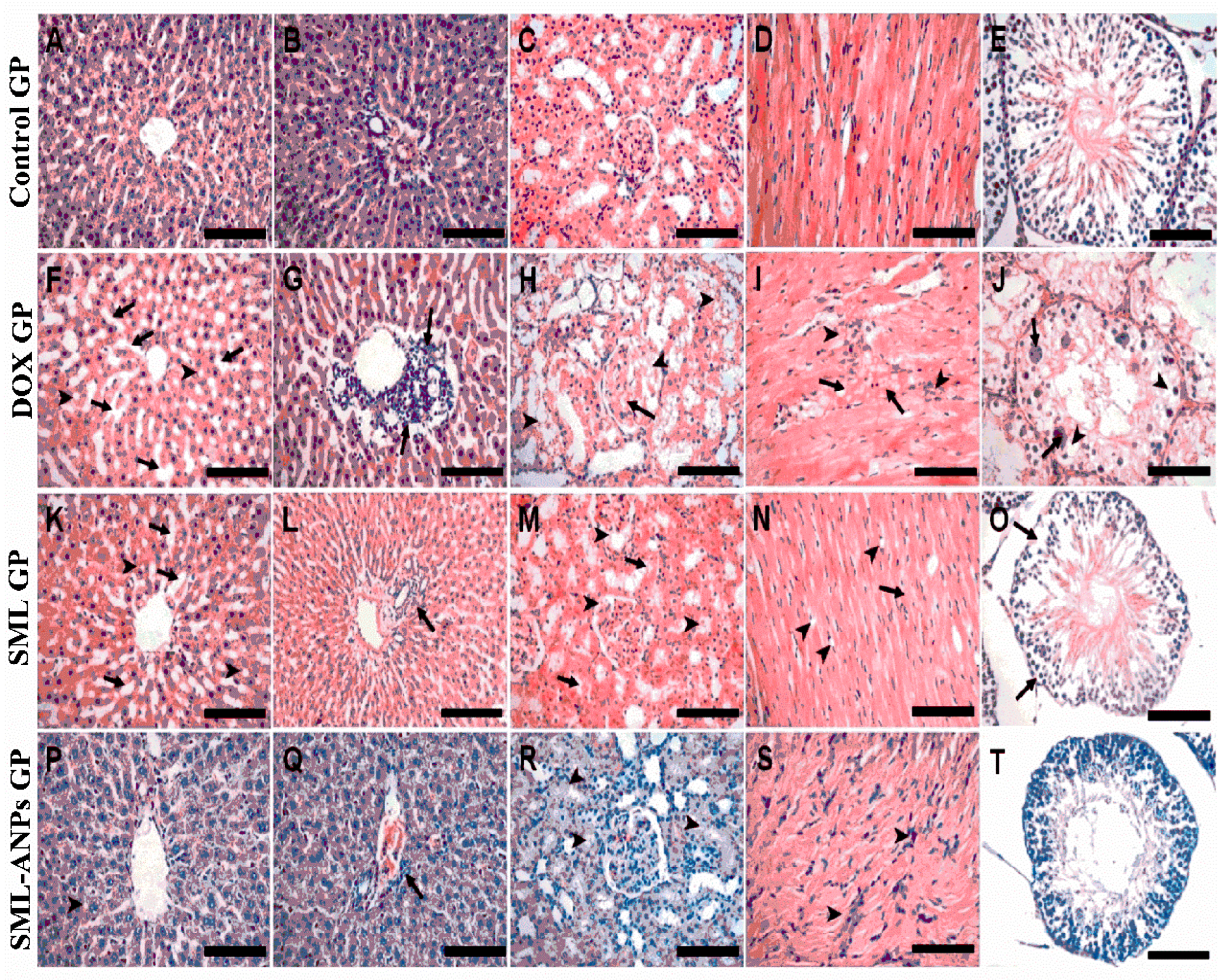 Pharmaceuticals 15 00733 g008