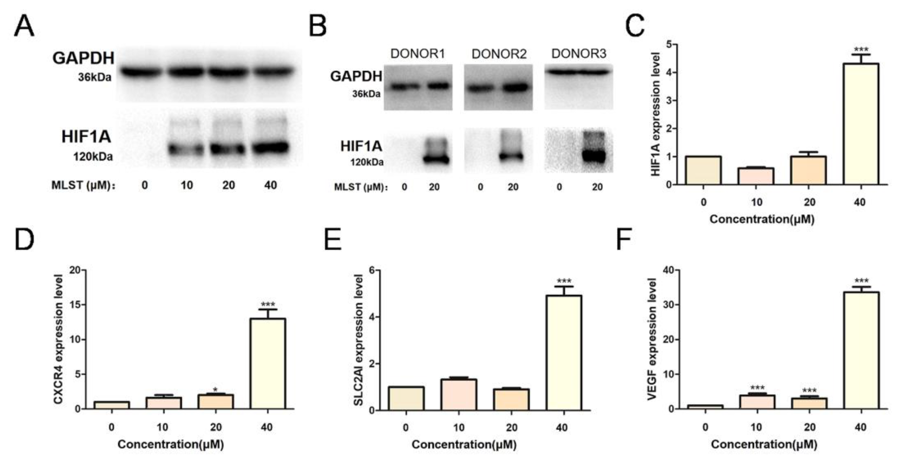 Pharmaceuticals 15 00734 g007