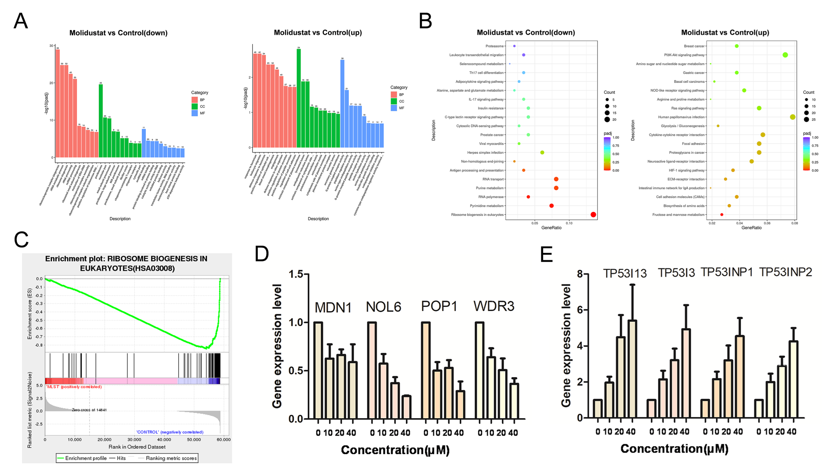 Pharmaceuticals 15 00734 g008