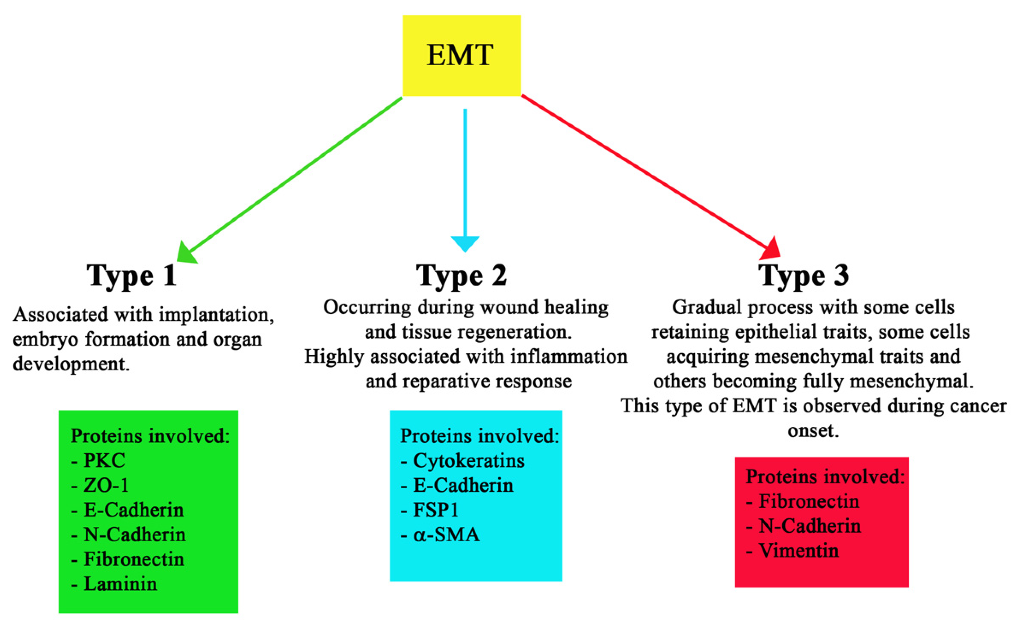 Pharmaceuticals 15 00737 g002
