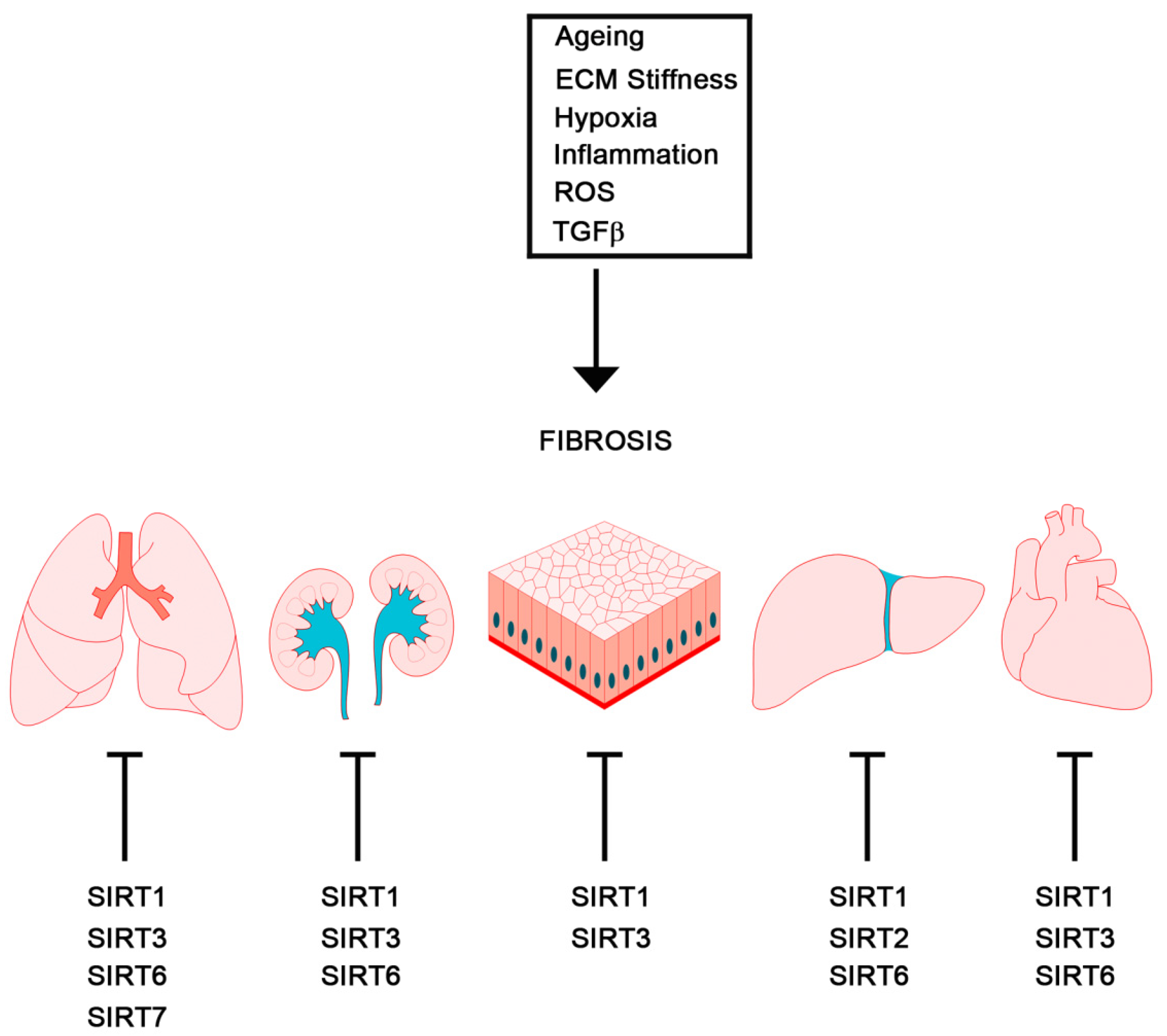 Pharmaceuticals 15 00737 g003