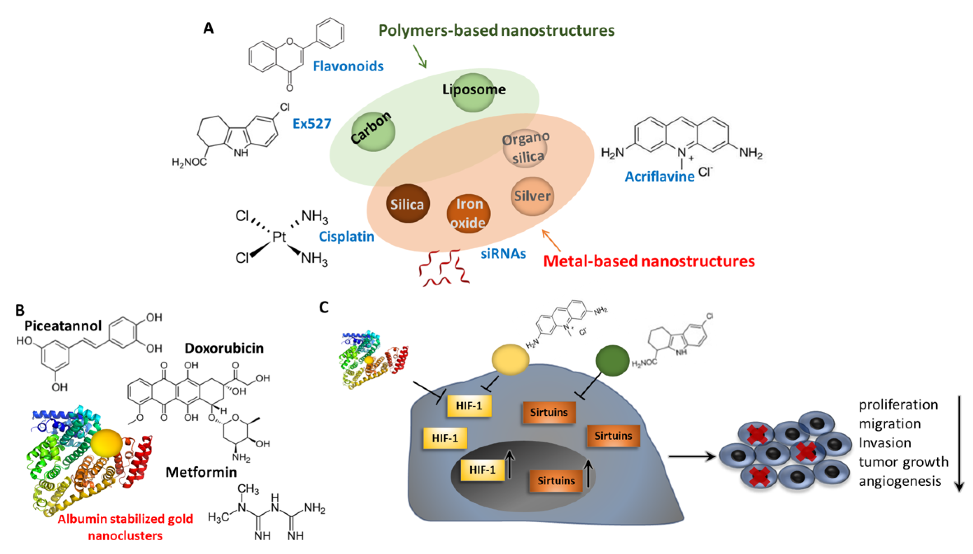 Pharmaceuticals 15 00737 g007