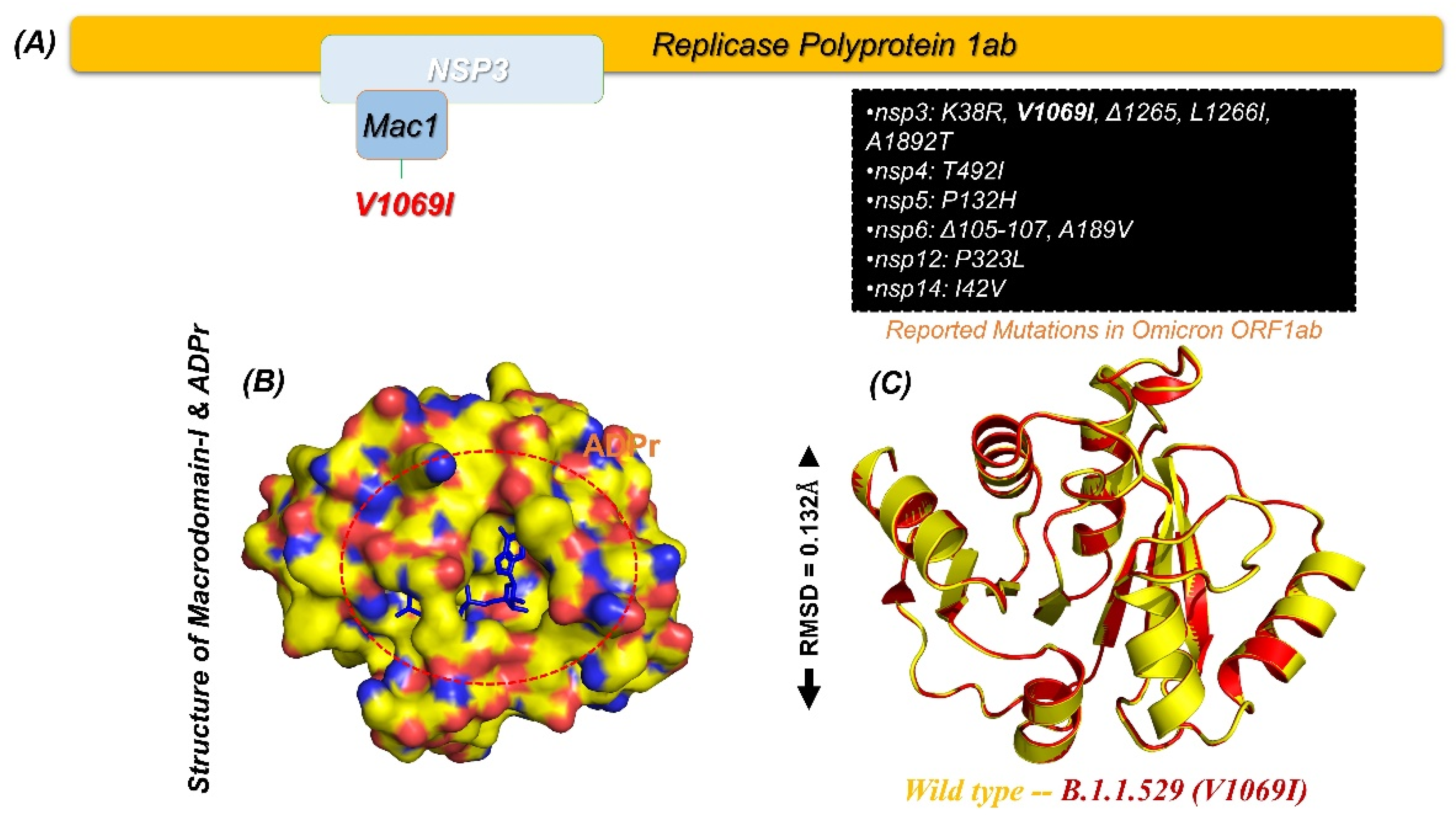 Pharmaceuticals 15 00741 g001