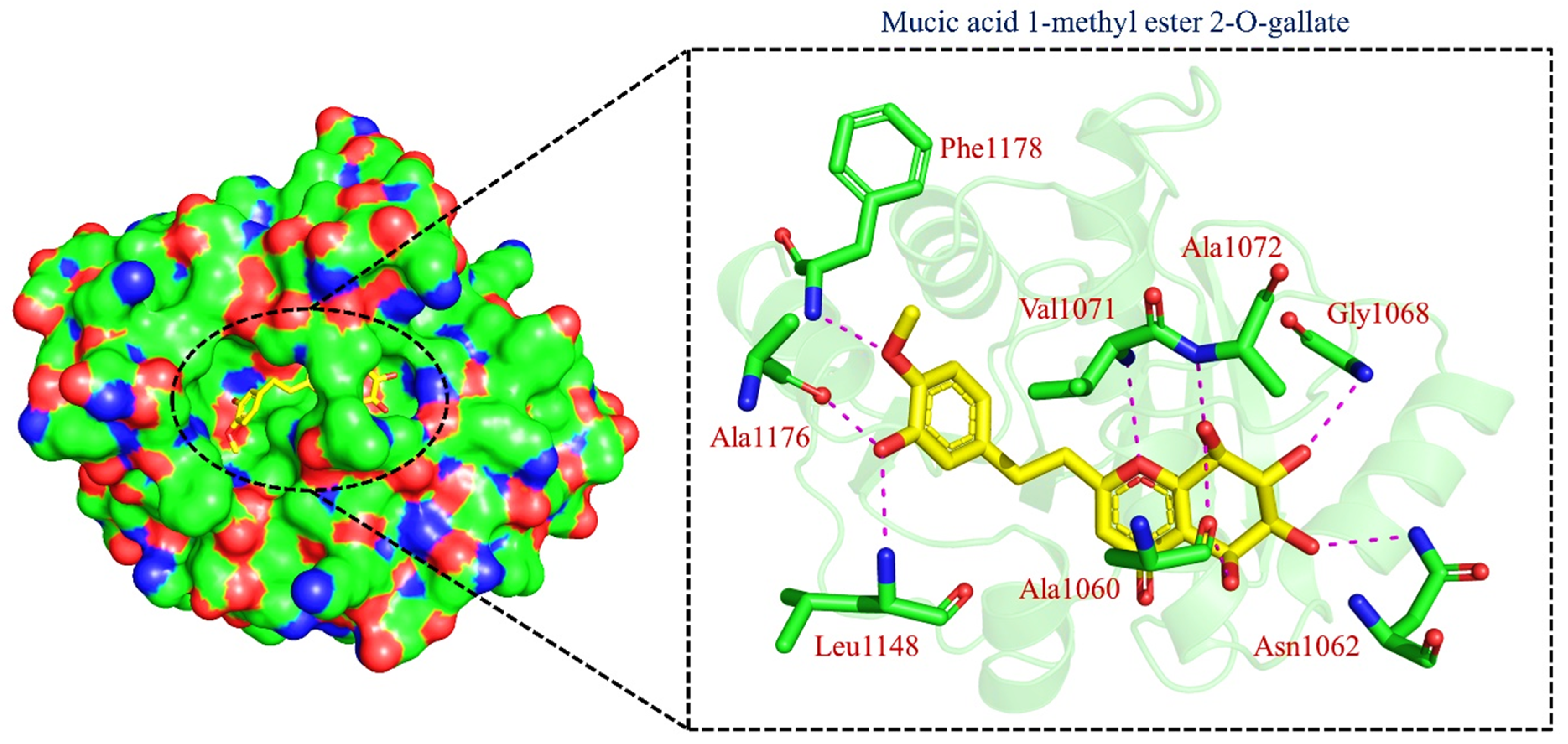 Pharmaceuticals 15 00741 g002