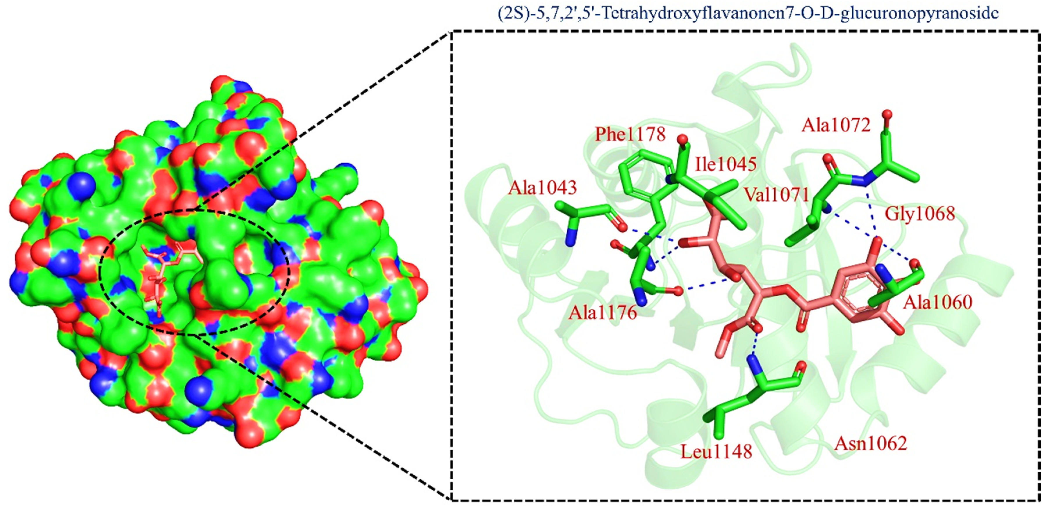 Pharmaceuticals 15 00741 g003