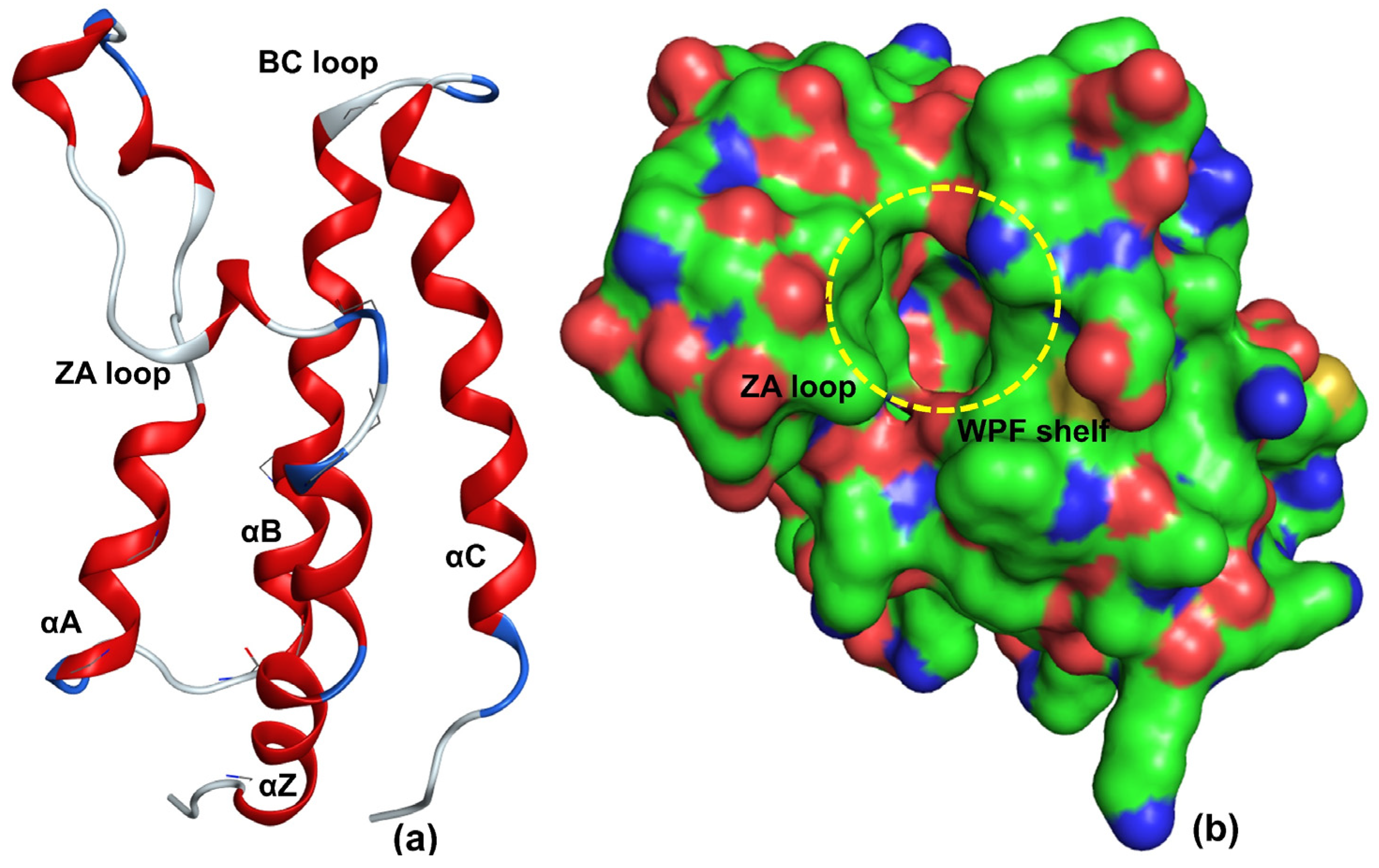 Pharmaceuticals 15 00745 g001