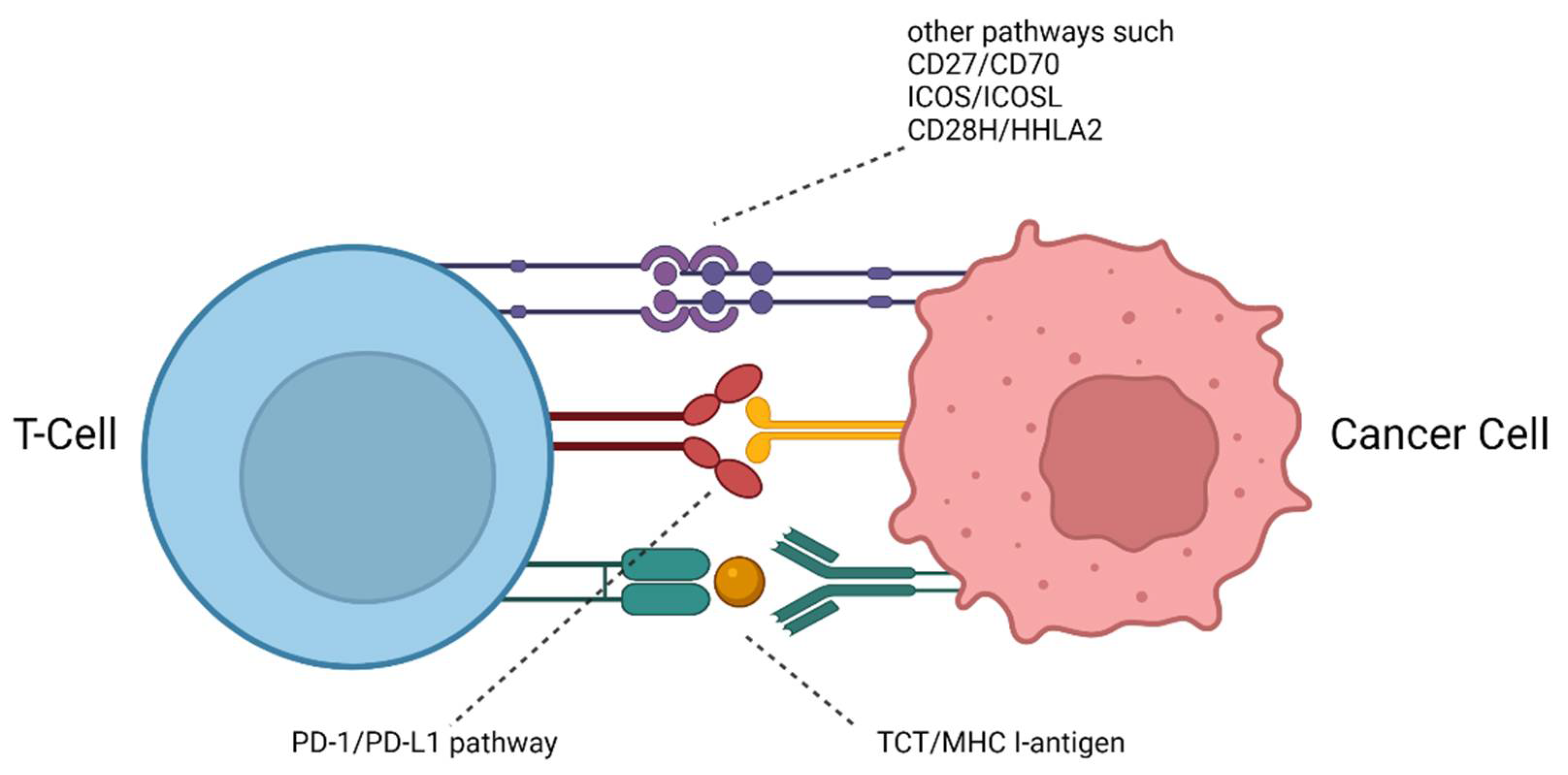 Pharmaceuticals 15 00747 g001 Pharmaceuticals 15 00747 g001