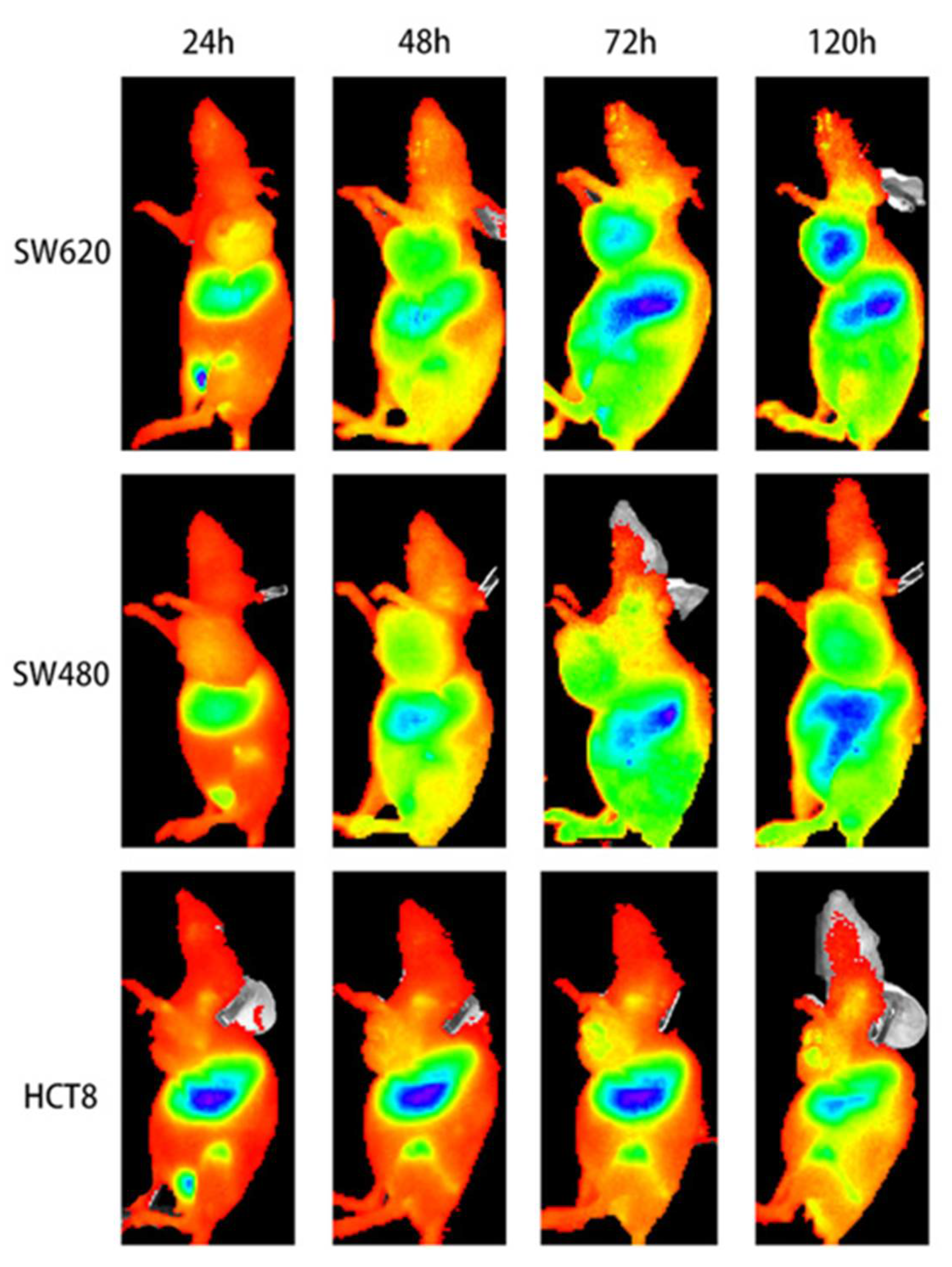 Pharmaceuticals 15 00747 g005 Pharmaceuticals 15 00747 g005