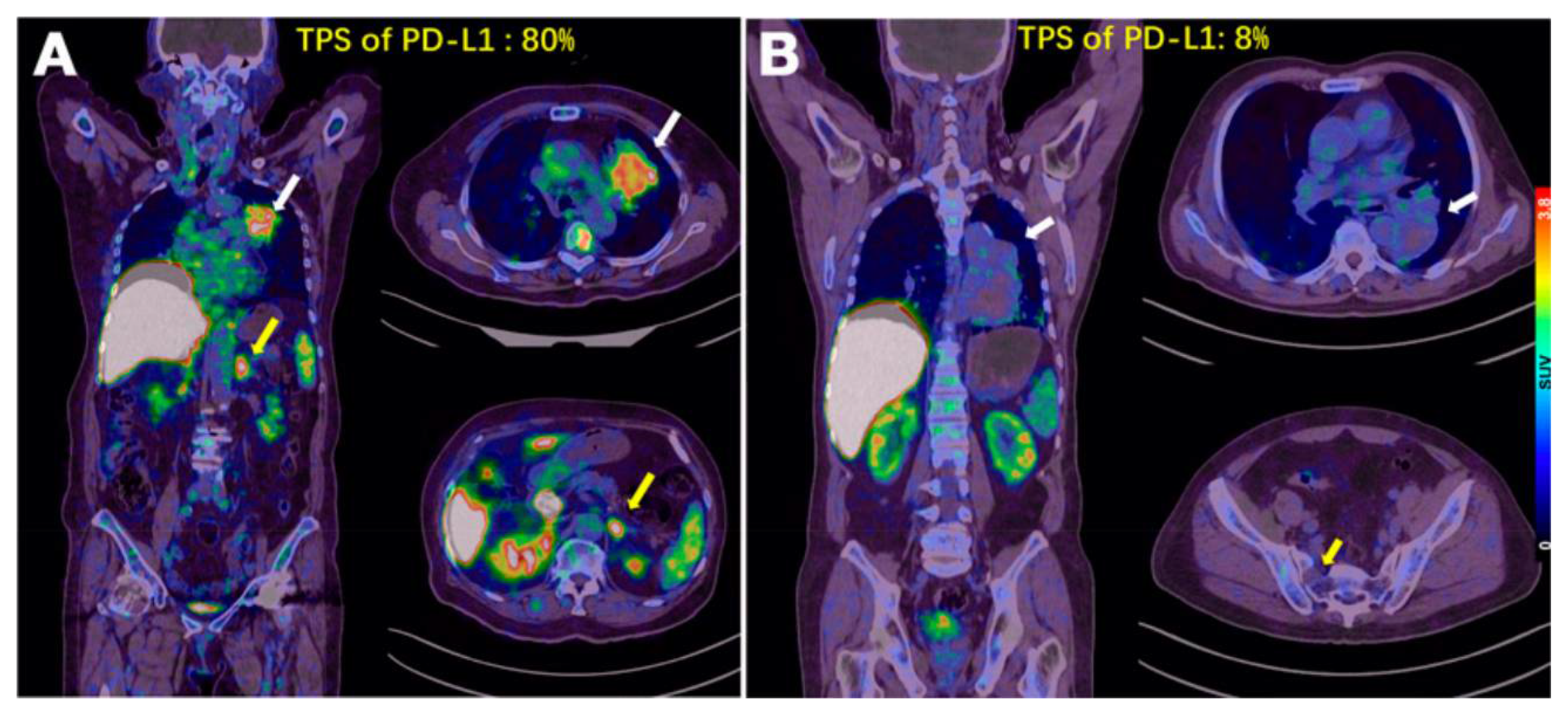 Pharmaceuticals 15 00747 g009 Pharmaceuticals 15 00747 g009