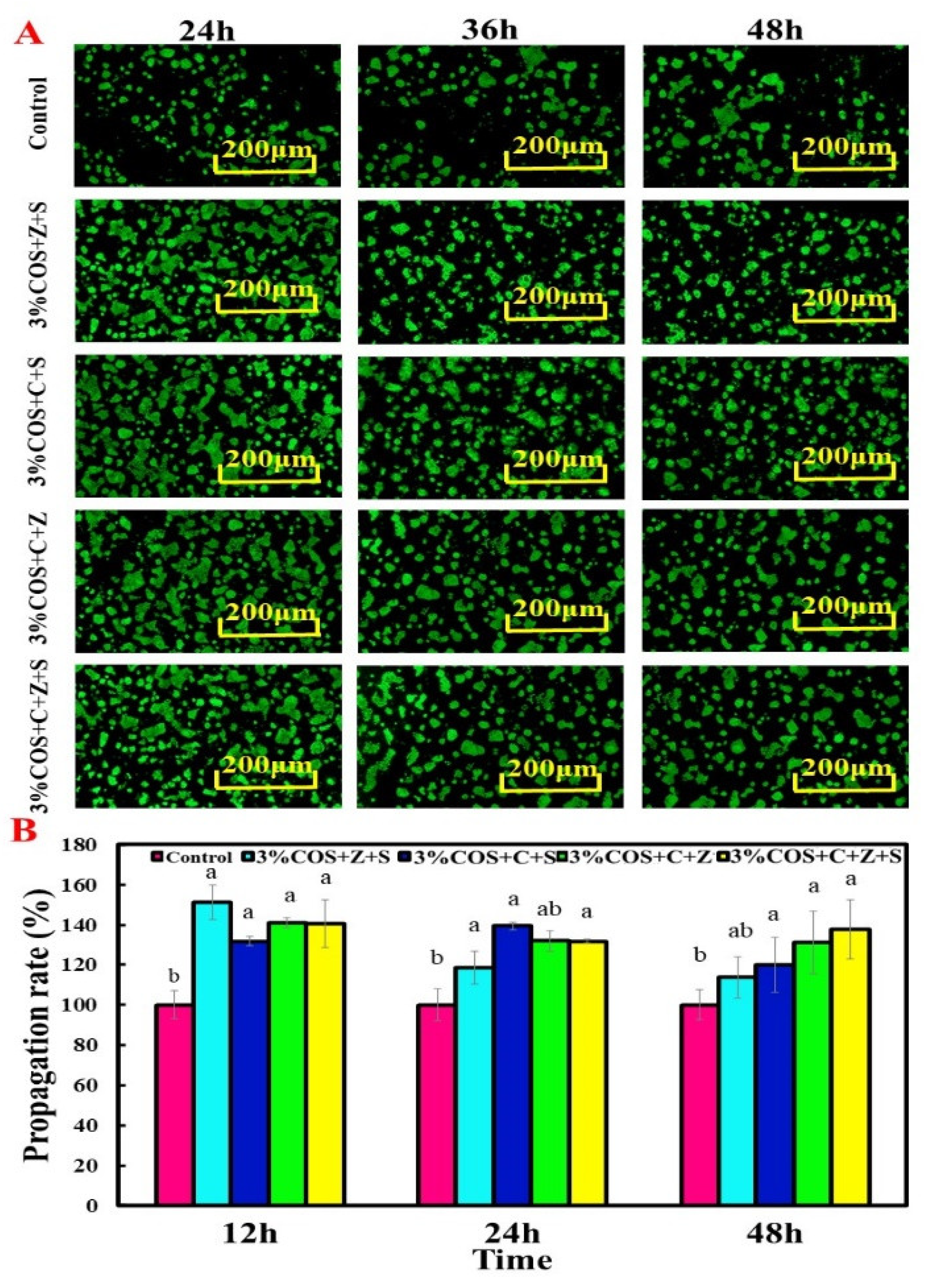 Pharmaceuticals 15 00750 g004