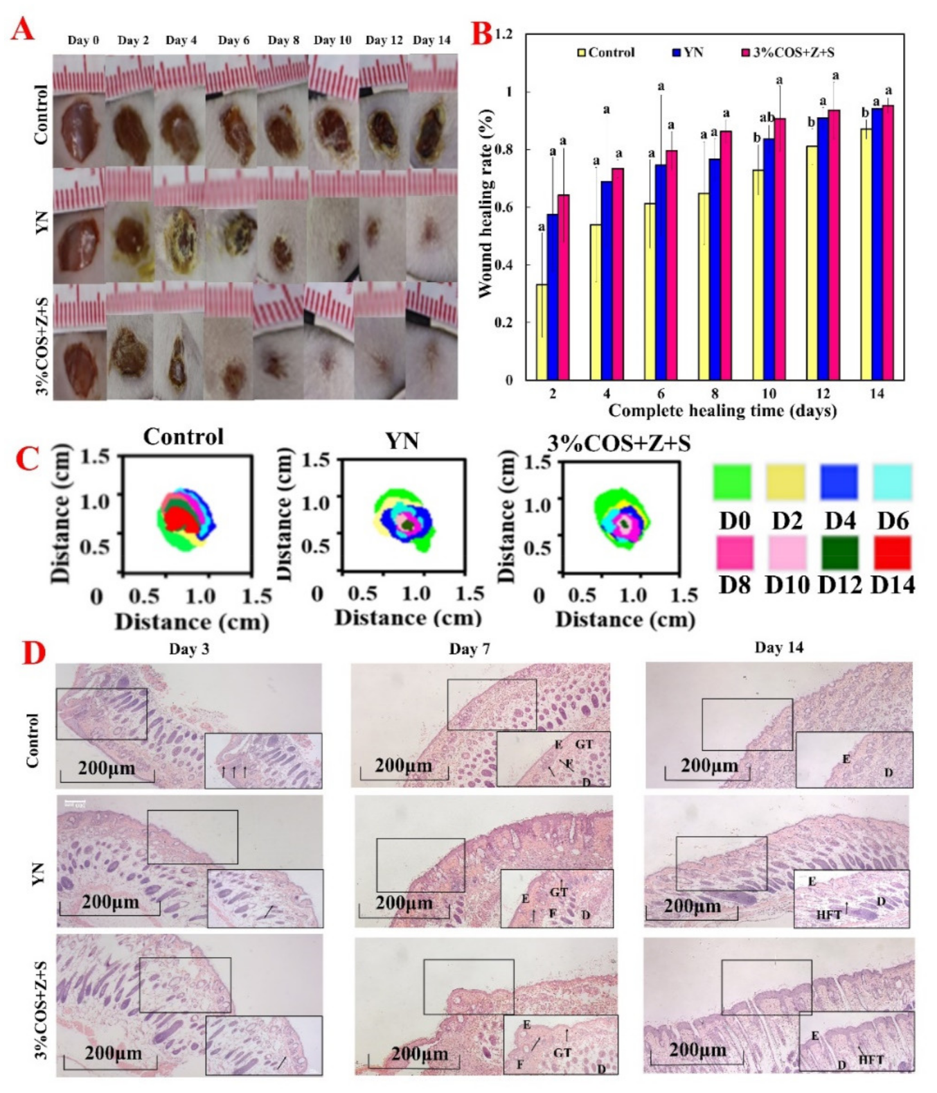 Pharmaceuticals 15 00750 g005
