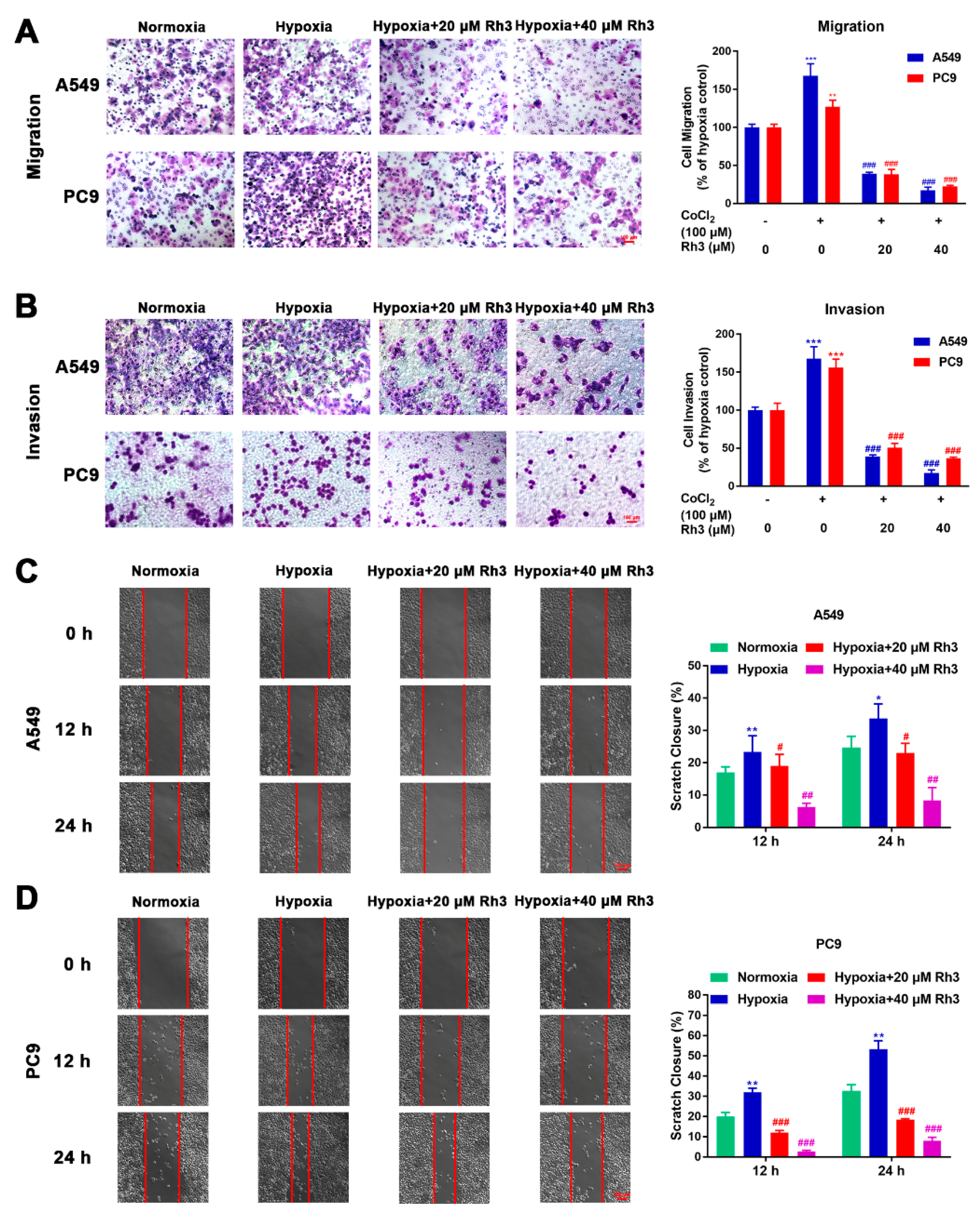 Pharmaceuticals 15 00758 g003