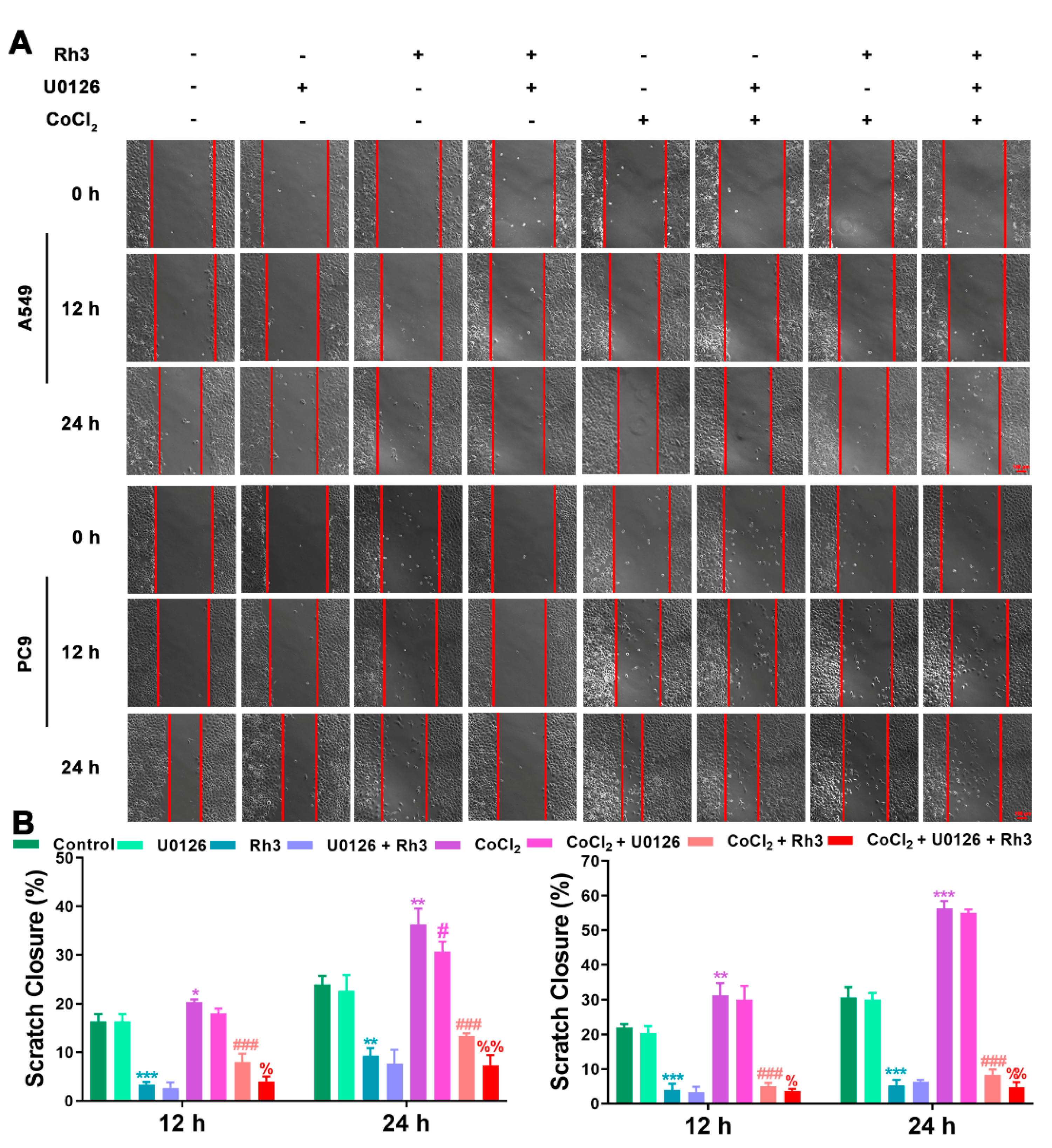 Pharmaceuticals 15 00758 g006
