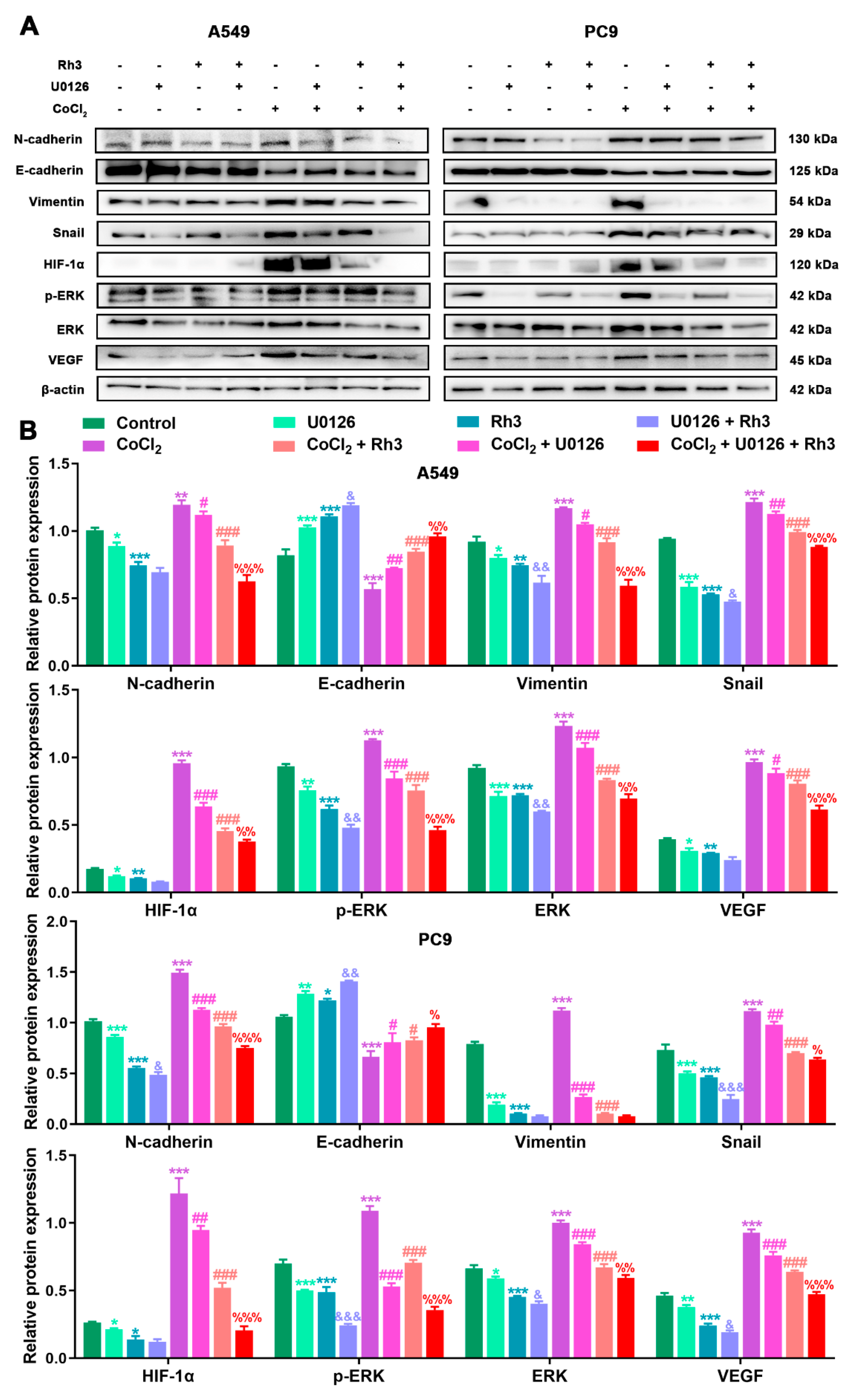 Pharmaceuticals 15 00758 g007