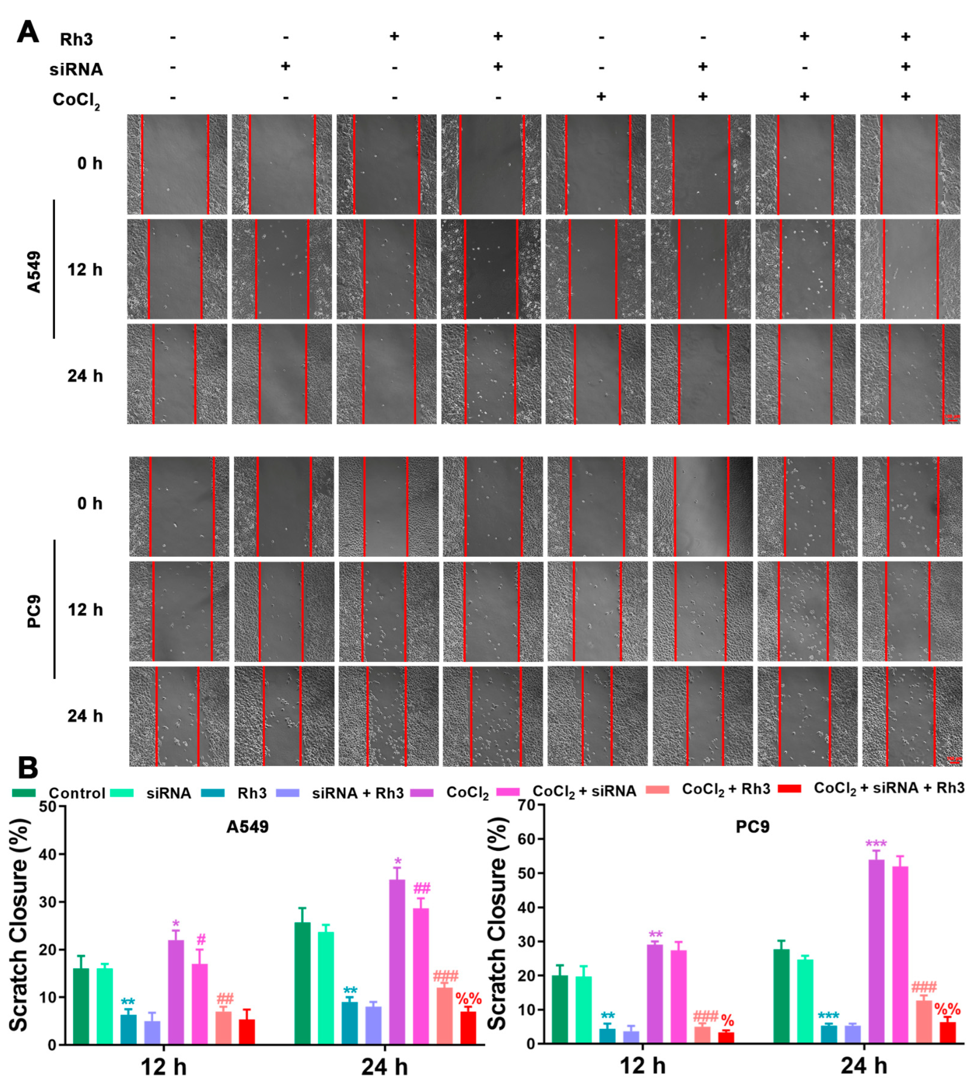 Pharmaceuticals 15 00758 g008