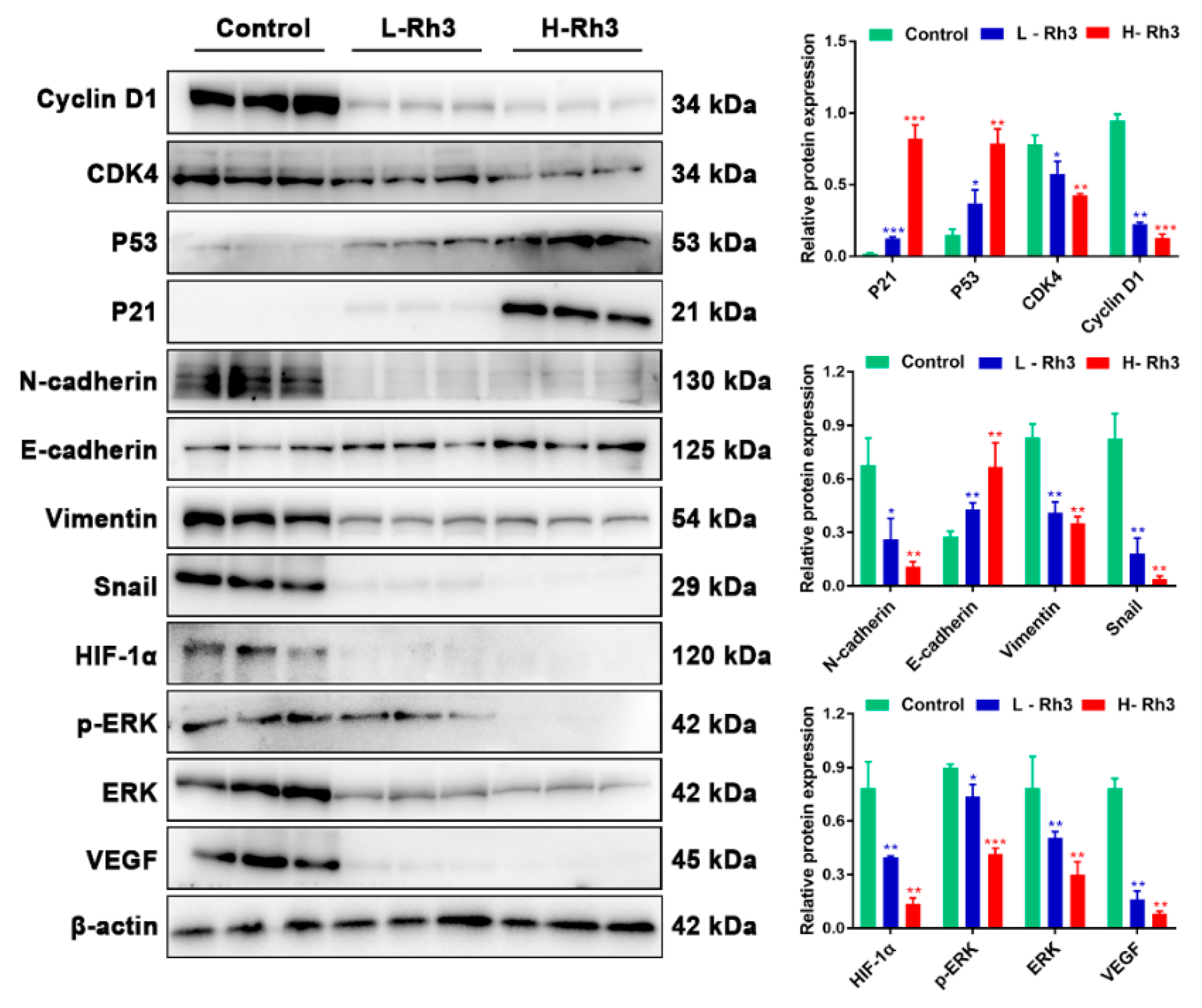 Pharmaceuticals 15 00758 g011