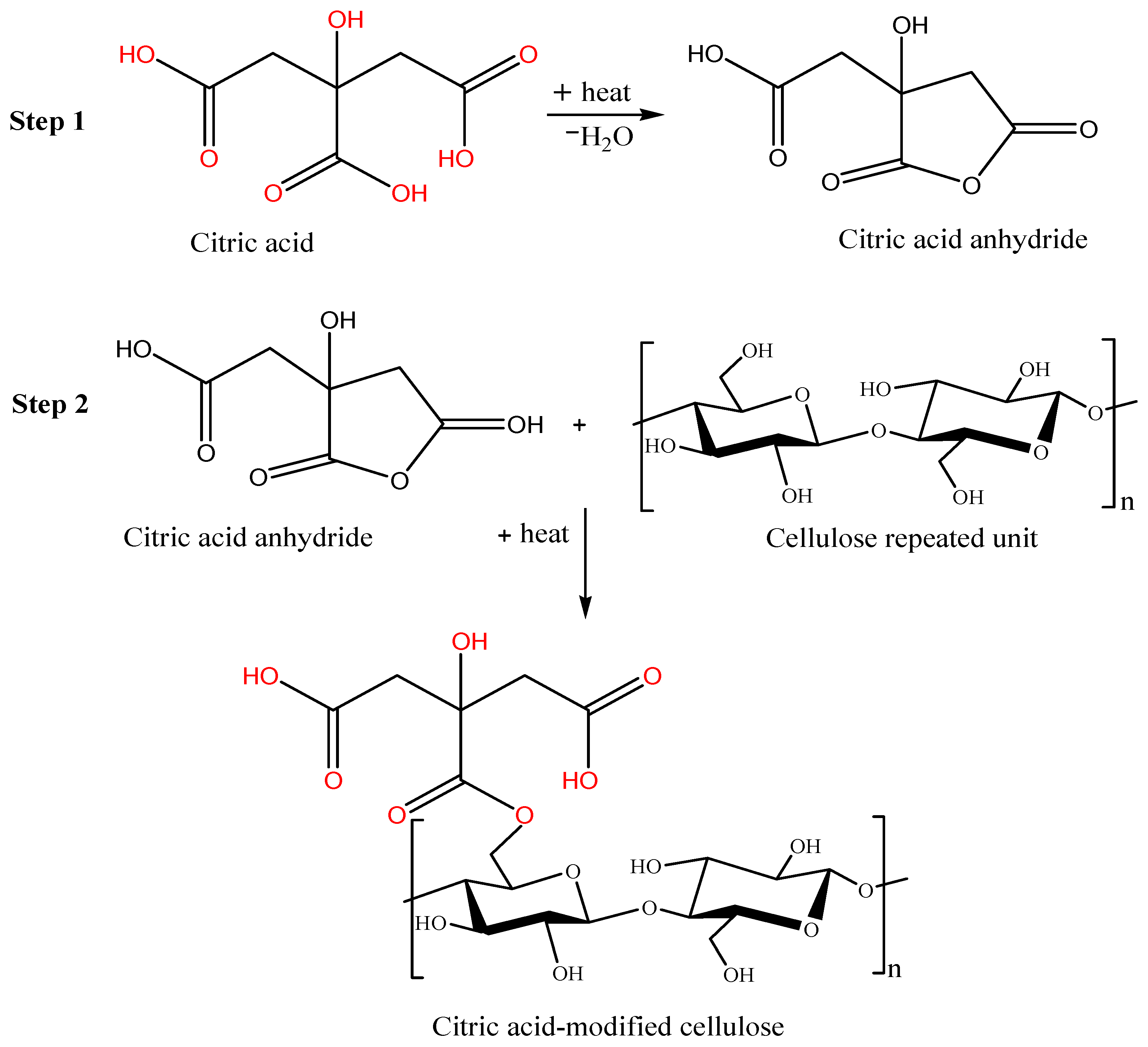 Pharmaceuticals 15 00760 g002