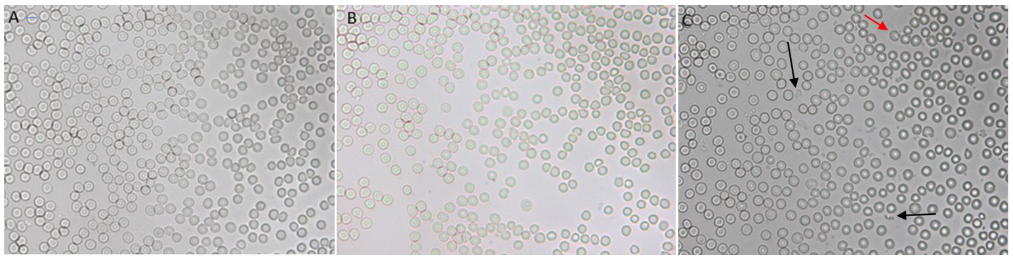 Pharmaceuticals 15 00761 g005