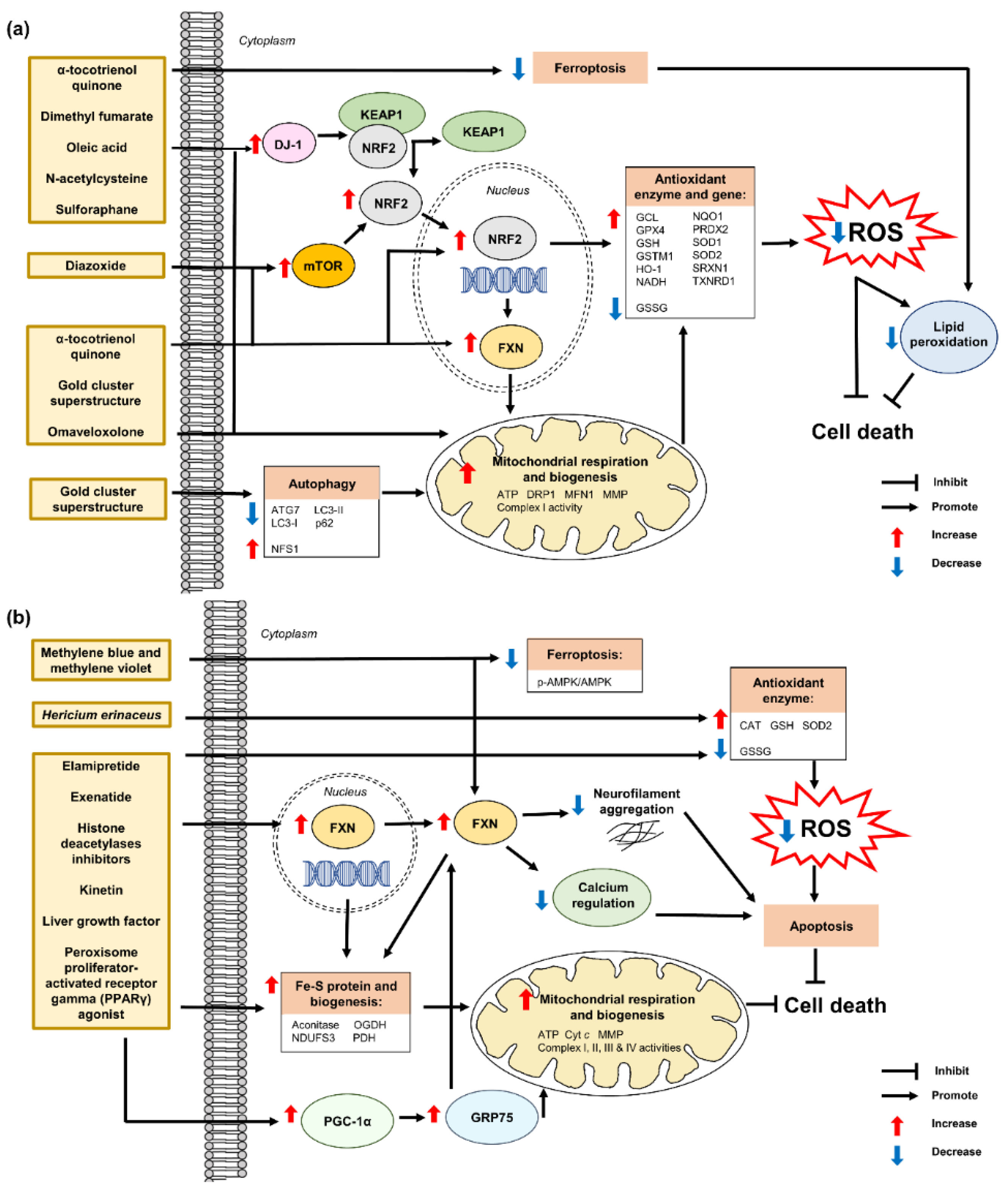 Pharmaceuticals 15 00764 g008 Pharmaceuticals 15 00764 g008