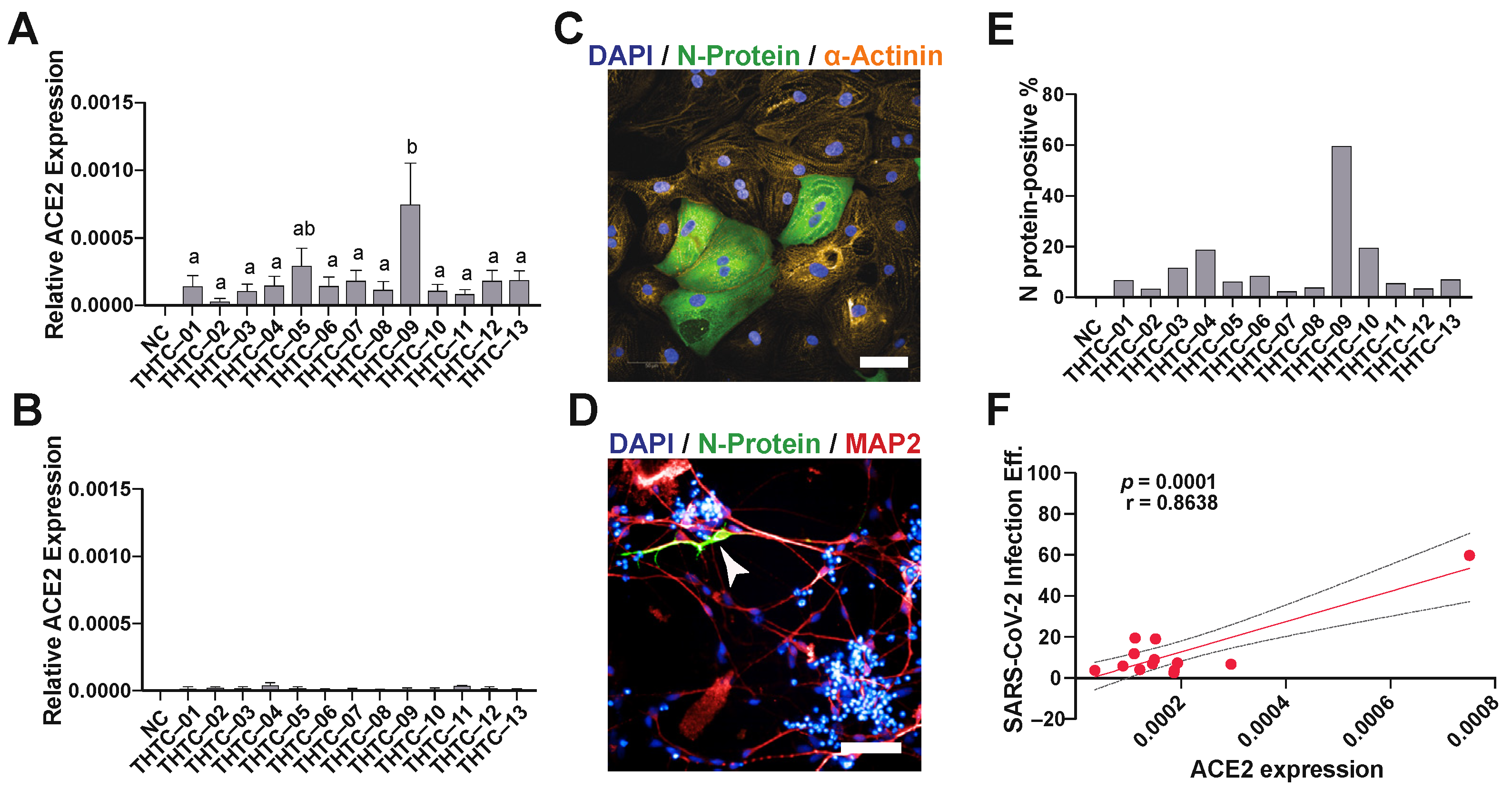 Pharmaceuticals 15 00765 g001