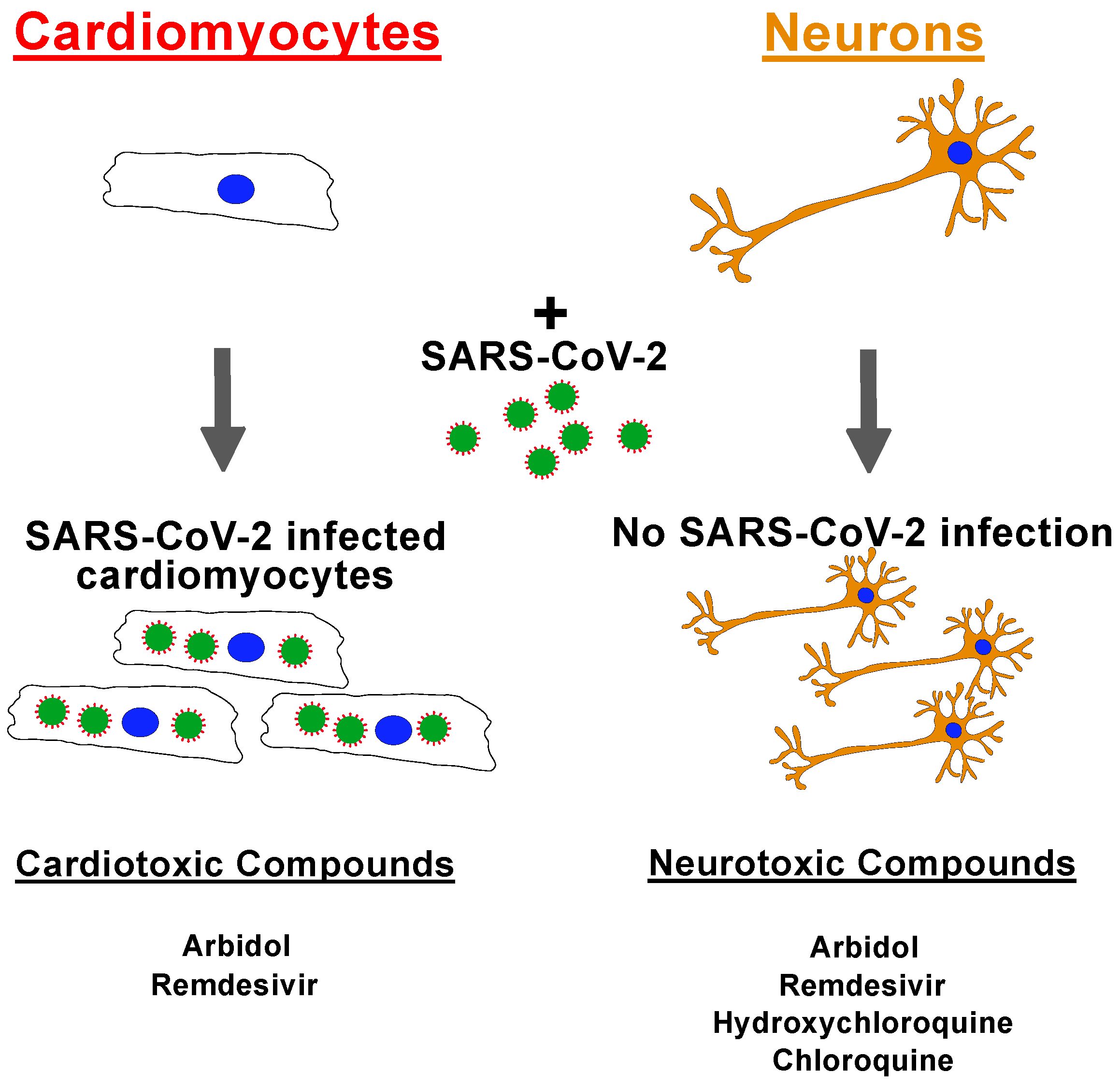Pharmaceuticals 15 00765 g003