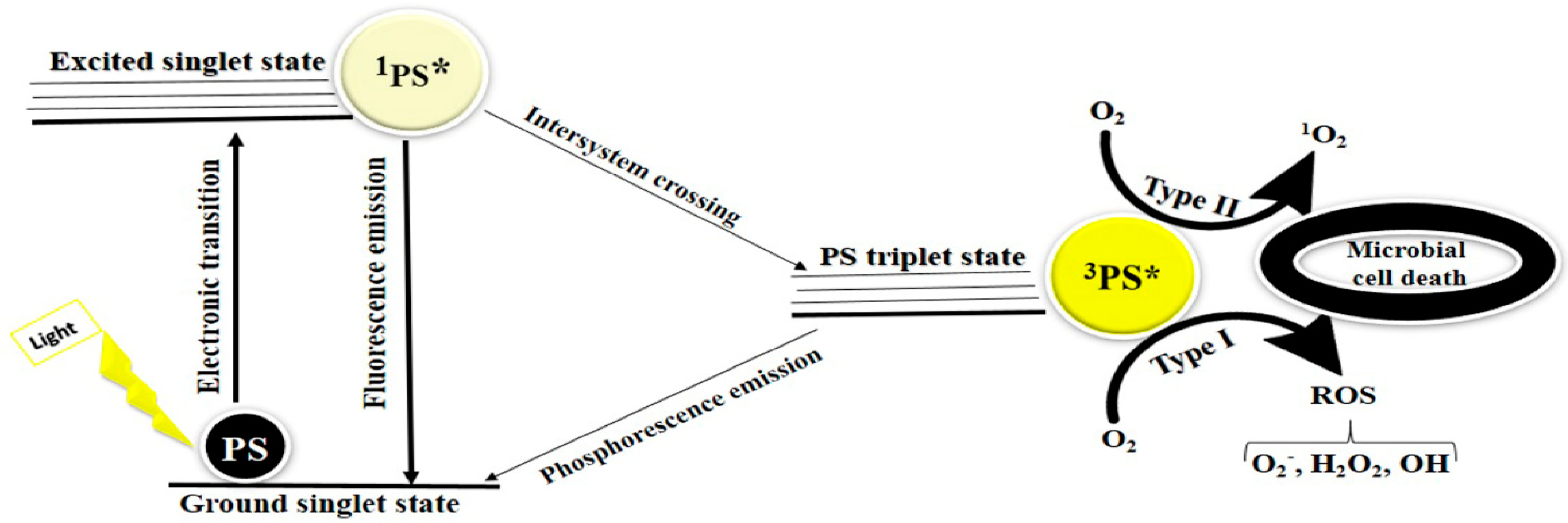 Pharmaceuticals 15 00767 g001