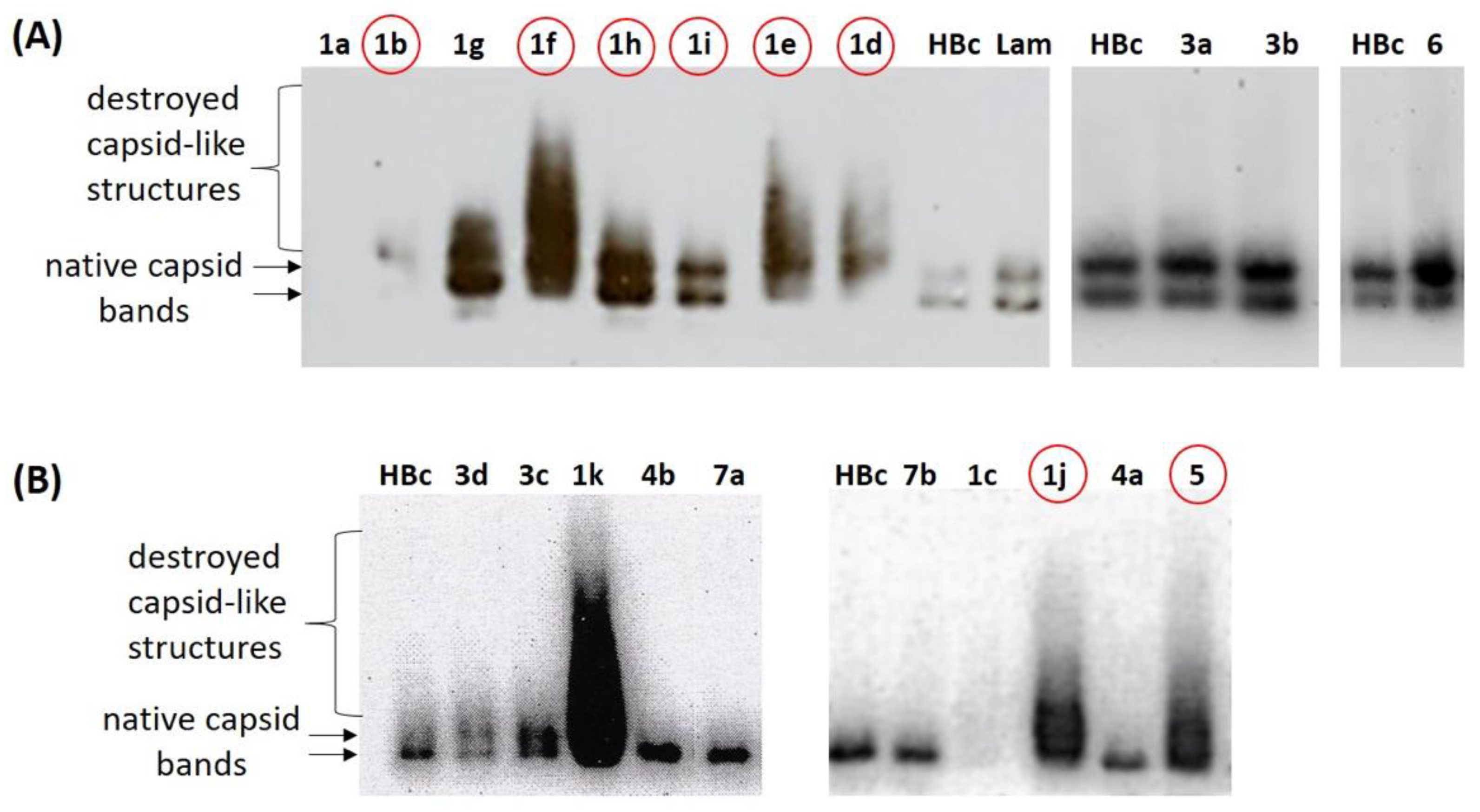 Pharmaceuticals 15 00773 g005 550