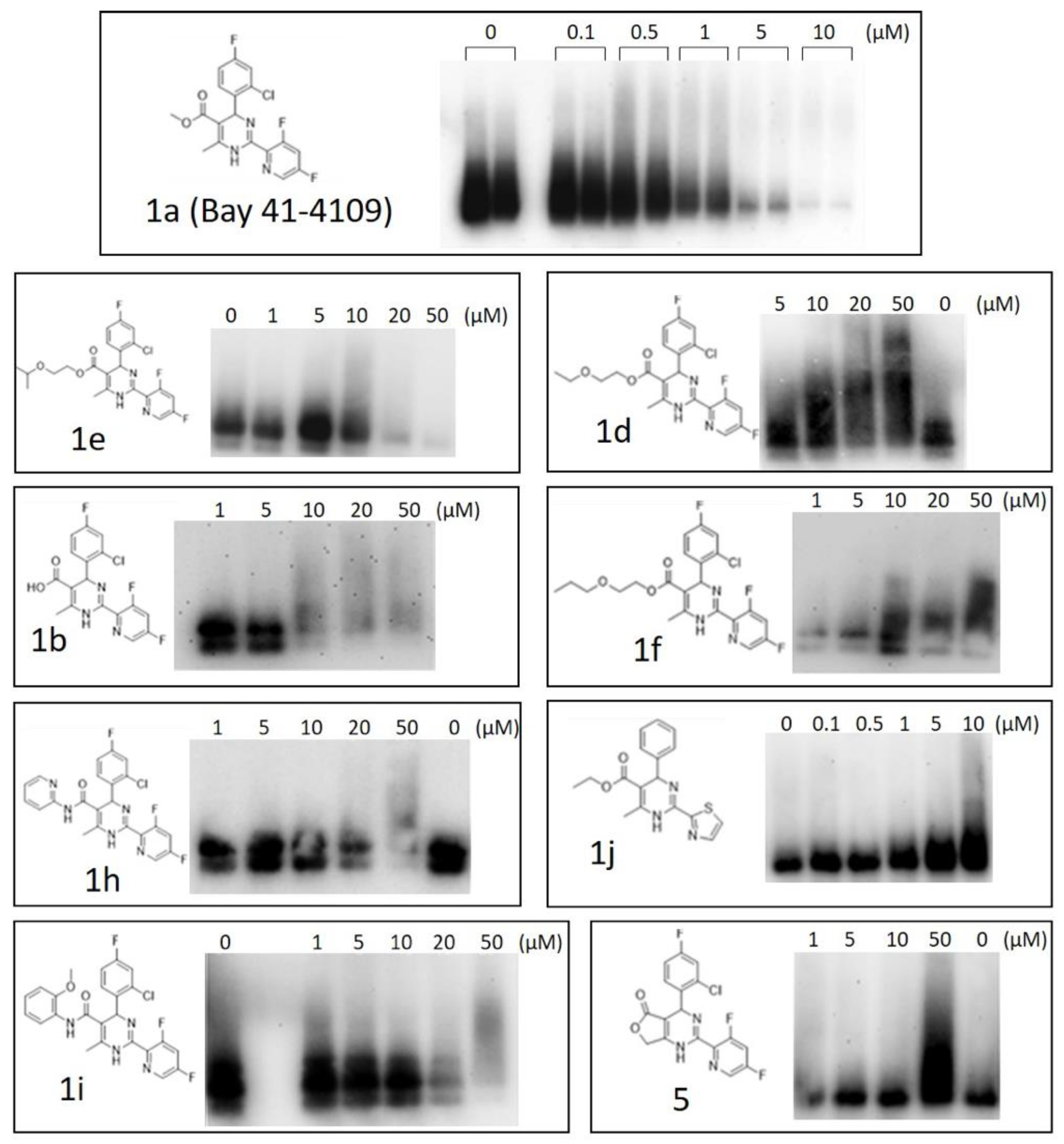 Pharmaceuticals 15 00773 g006 550