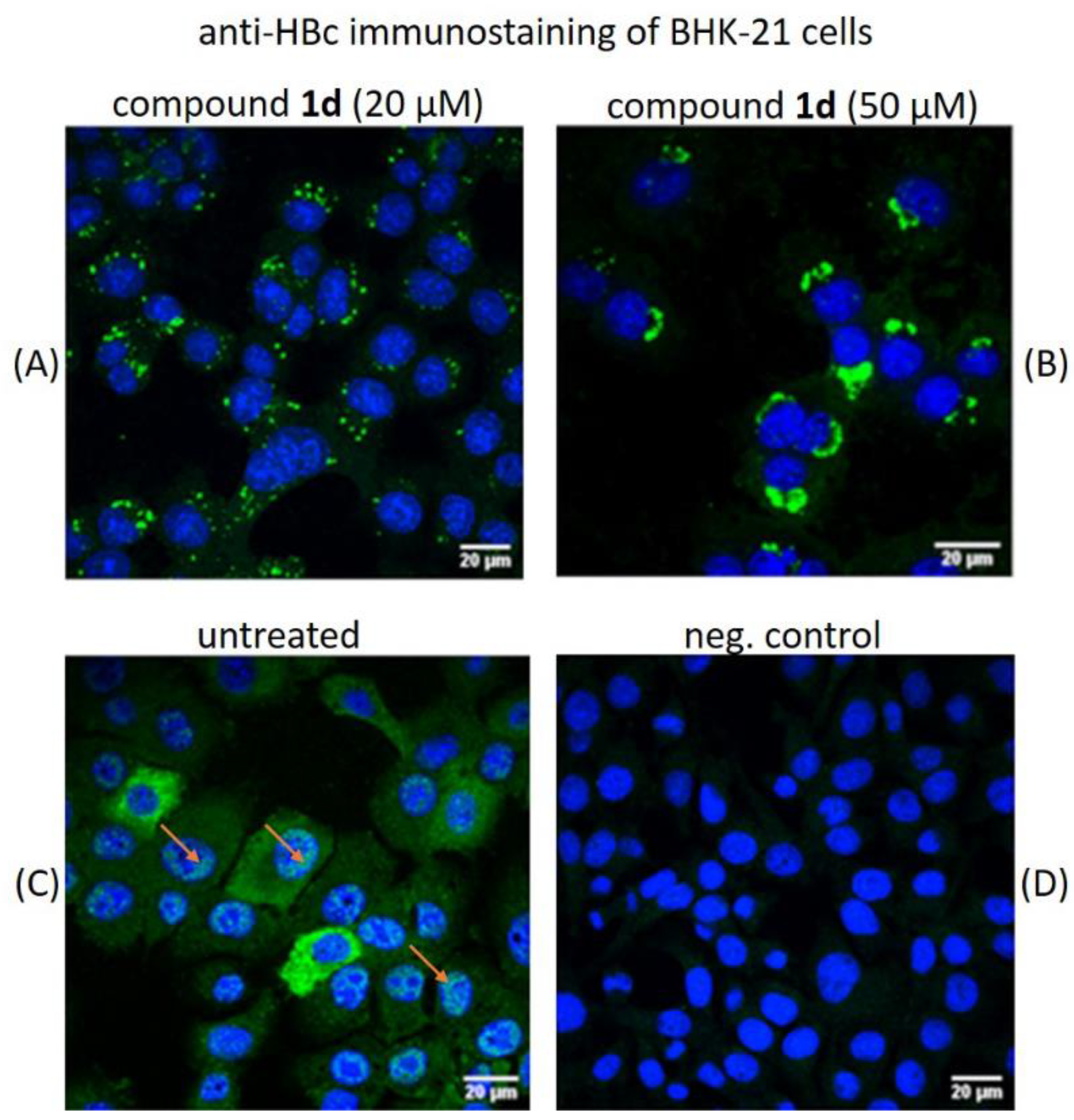 Pharmaceuticals 15 00773 g010 550