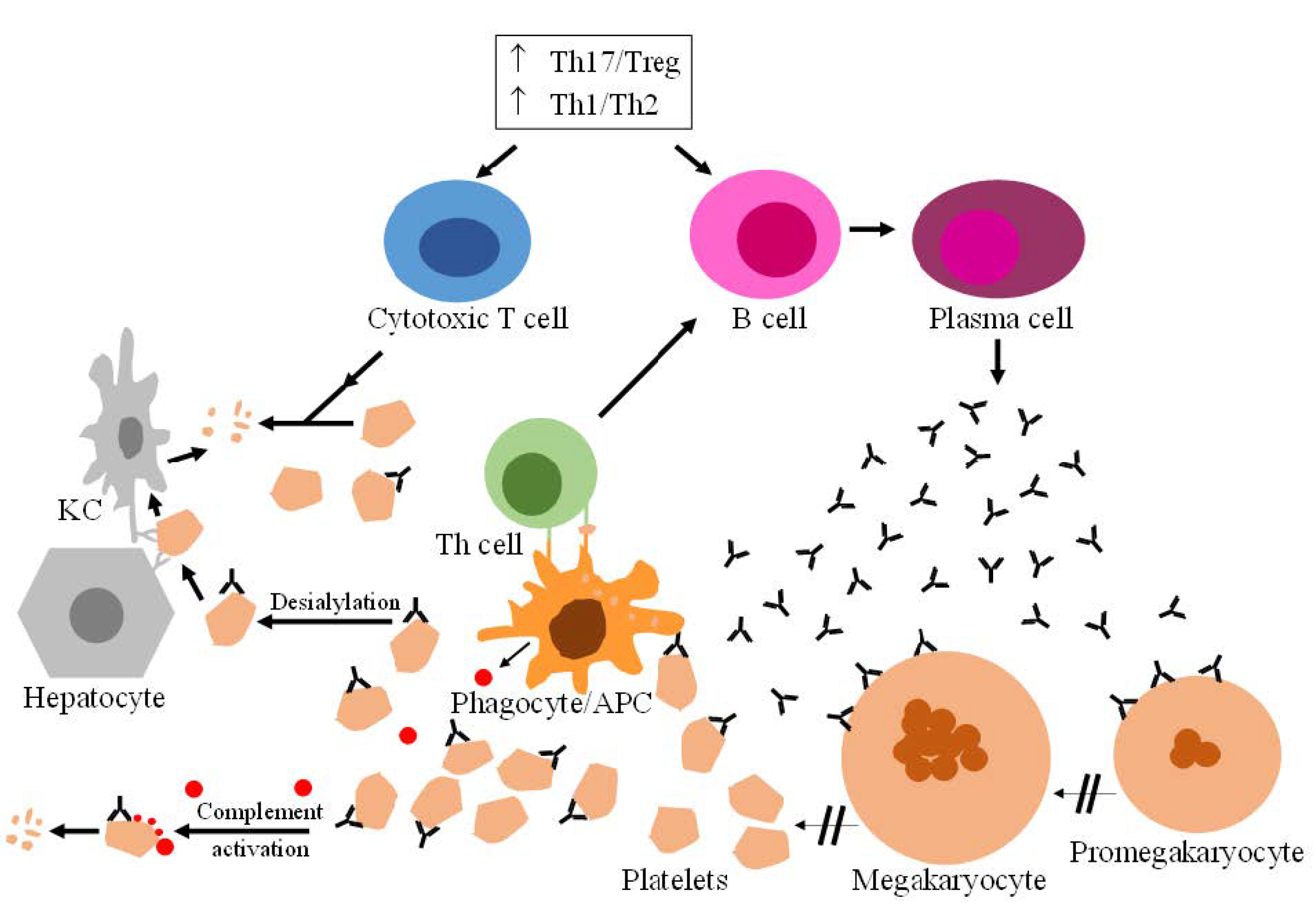 Pharmaceuticals 15 00779 g001