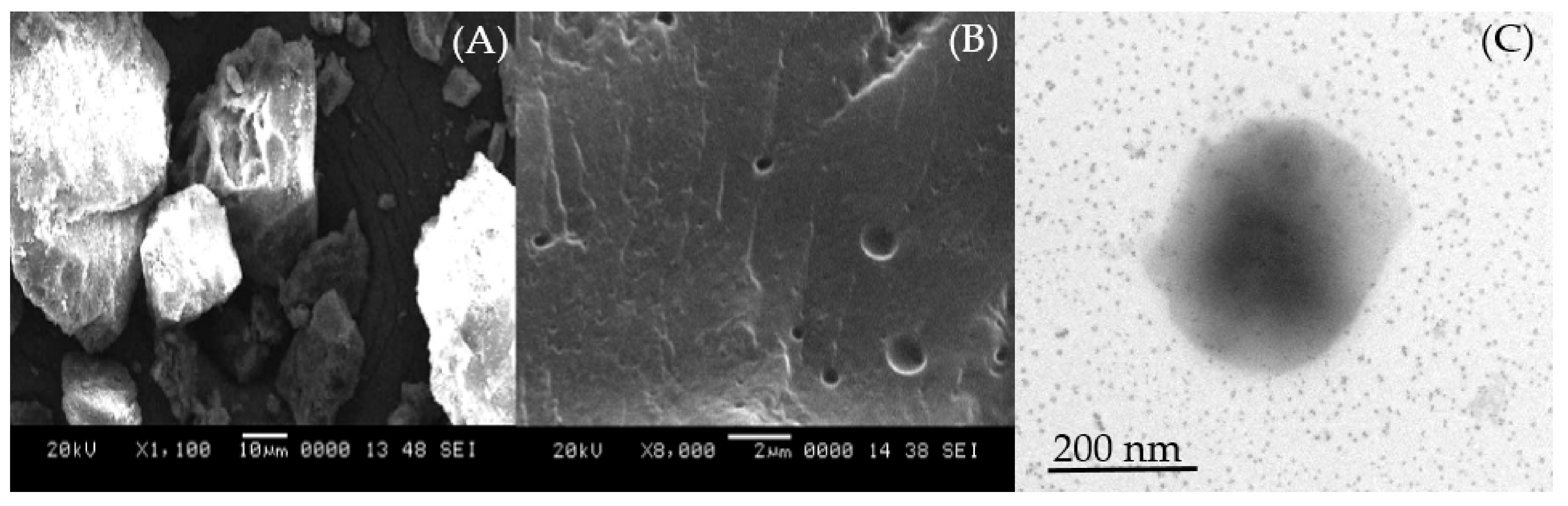 Pharmaceuticals 15 00790 g002 Pharmaceuticals 15 00790 g002