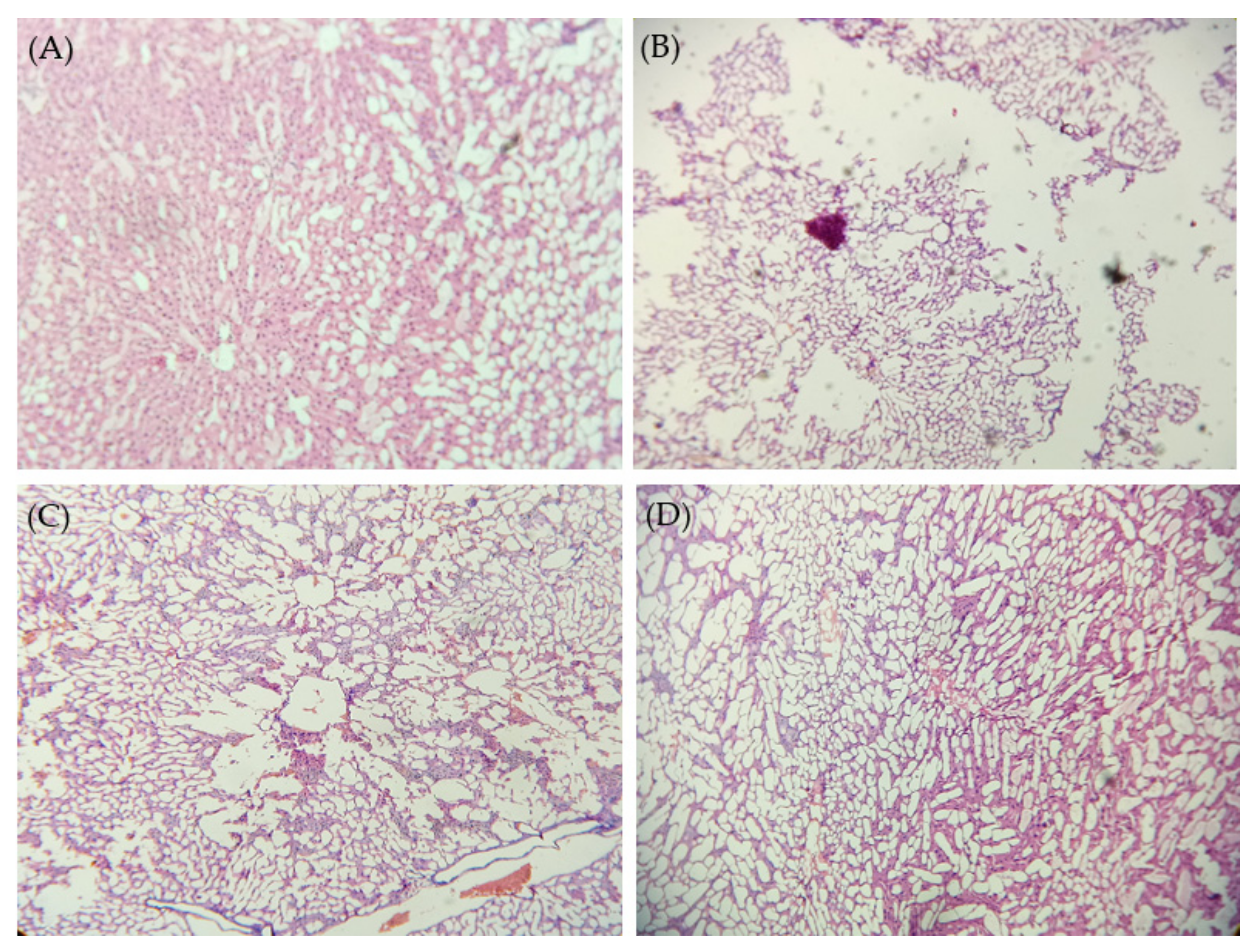 Pharmaceuticals 15 00790 g008 Pharmaceuticals 15 00790 g008