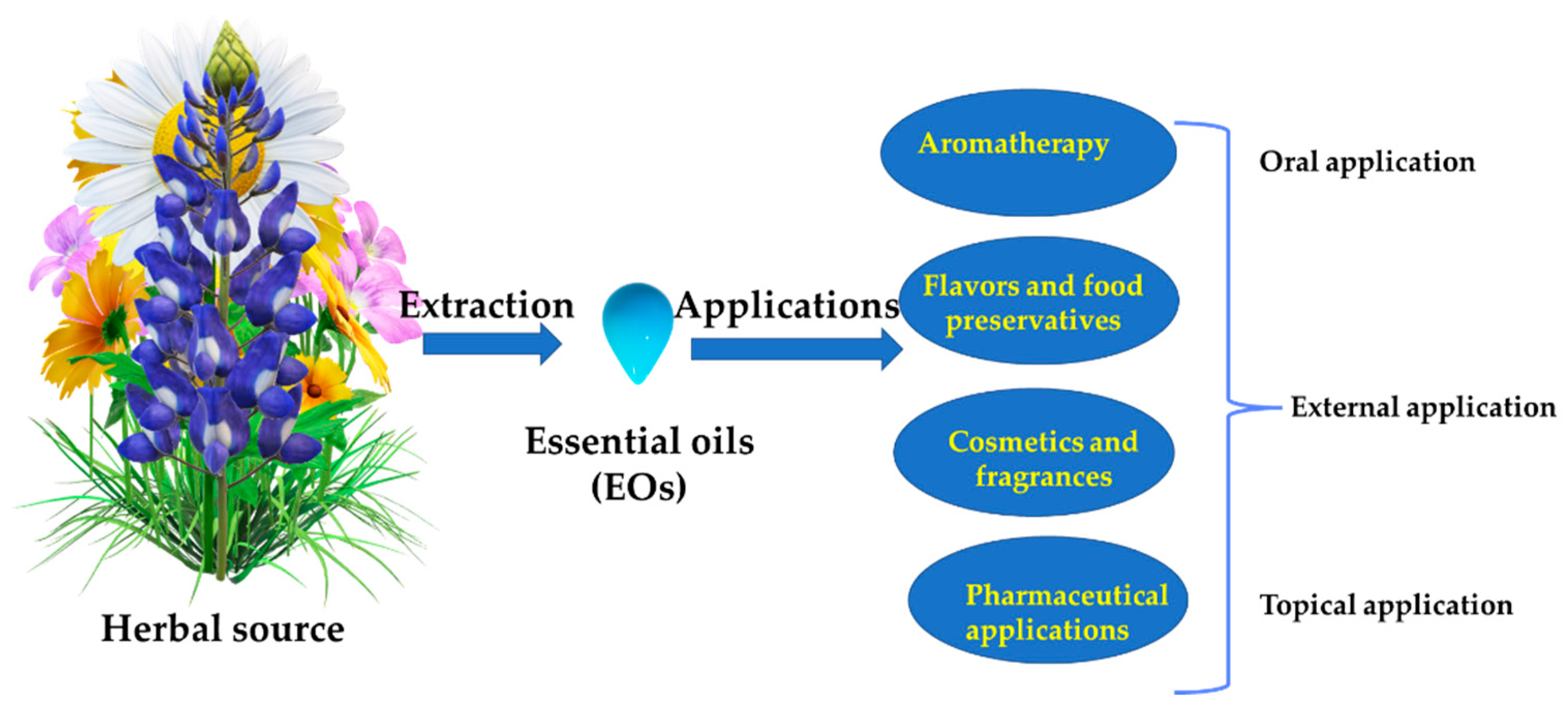 Pharmaceuticals 15 00793 g002 Pharmaceuticals 15 00793 g002