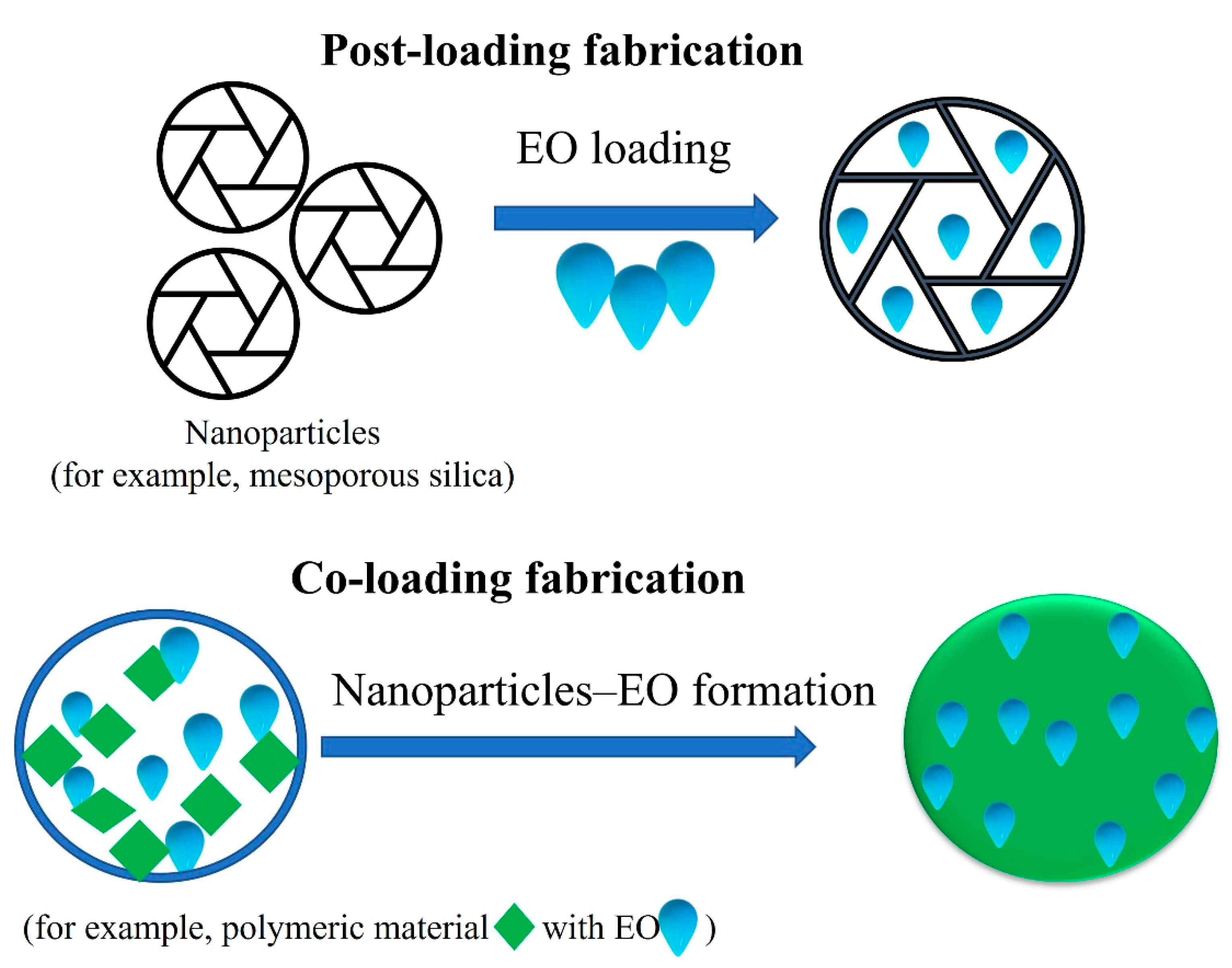 Pharmaceuticals 15 00793 g006 Pharmaceuticals 15 00793 g006