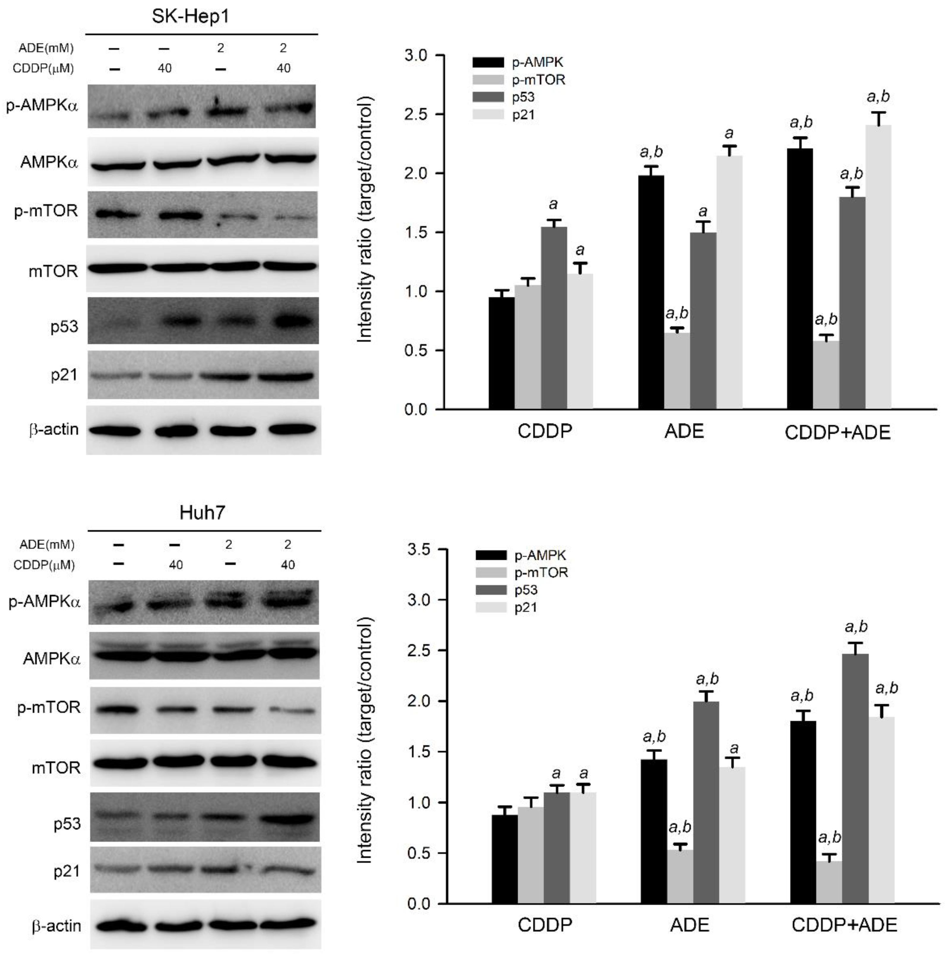 Pharmaceuticals 15 00795 g003