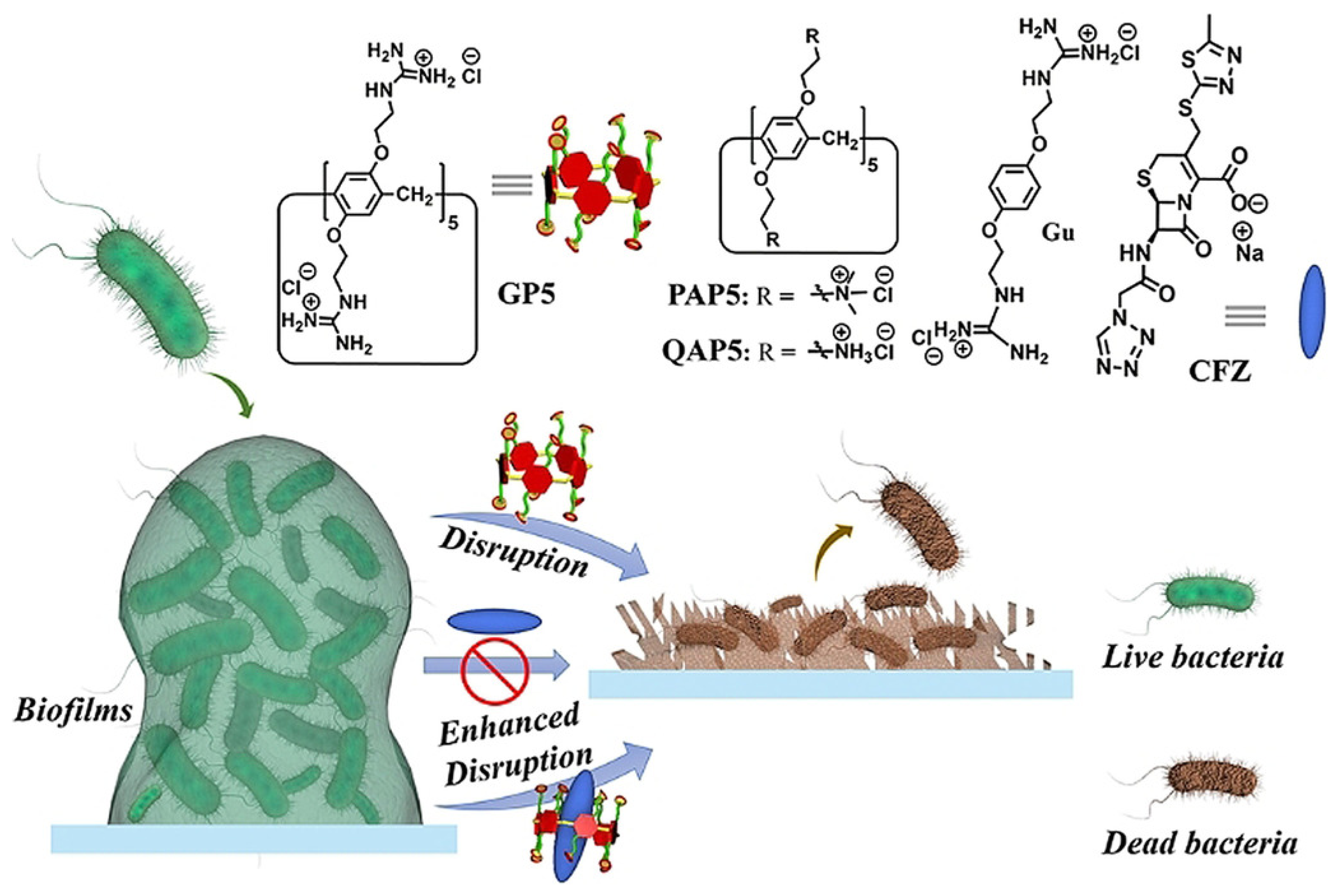 Pharmaceuticals 15 00804 g002