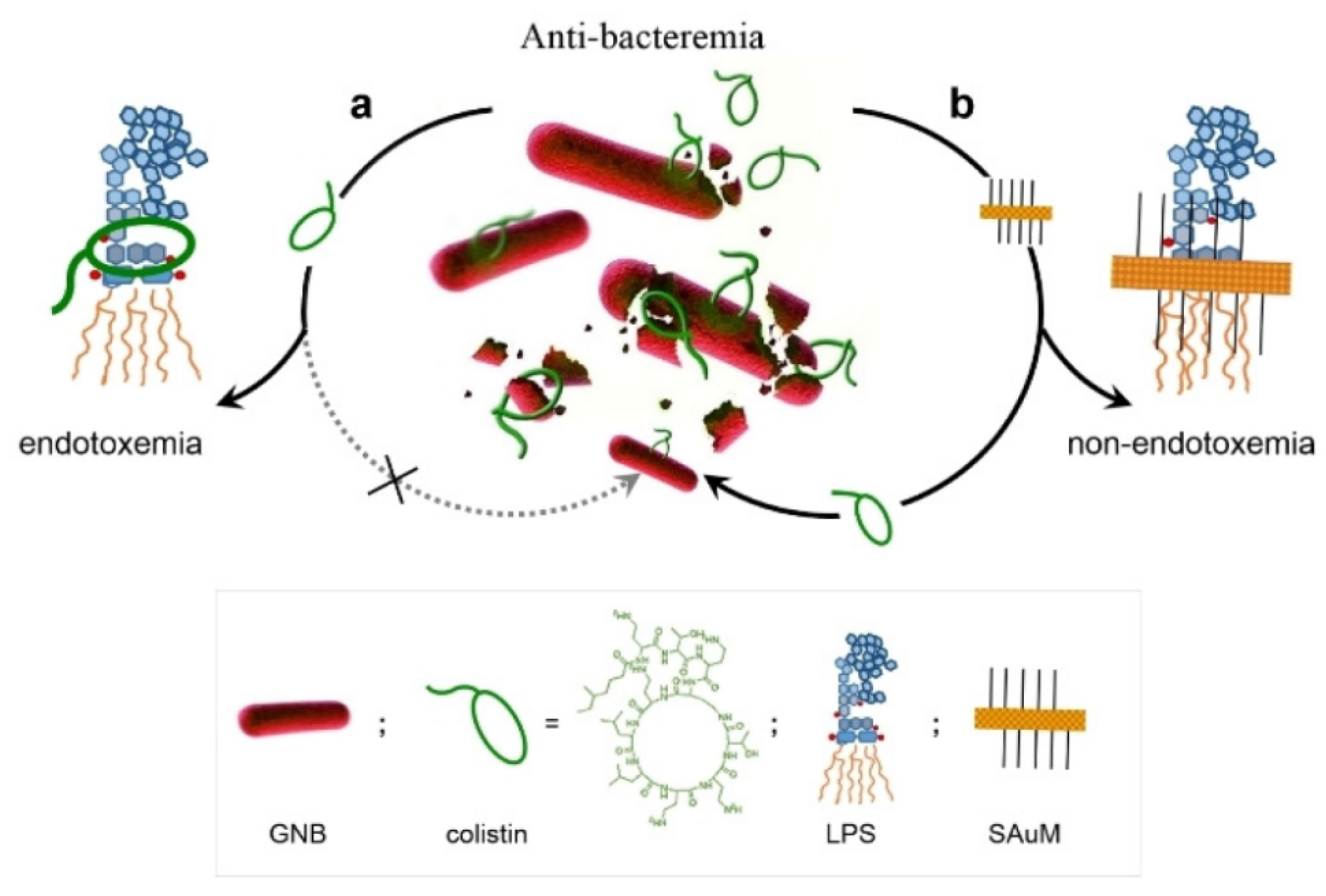 Pharmaceuticals 15 00804 g004