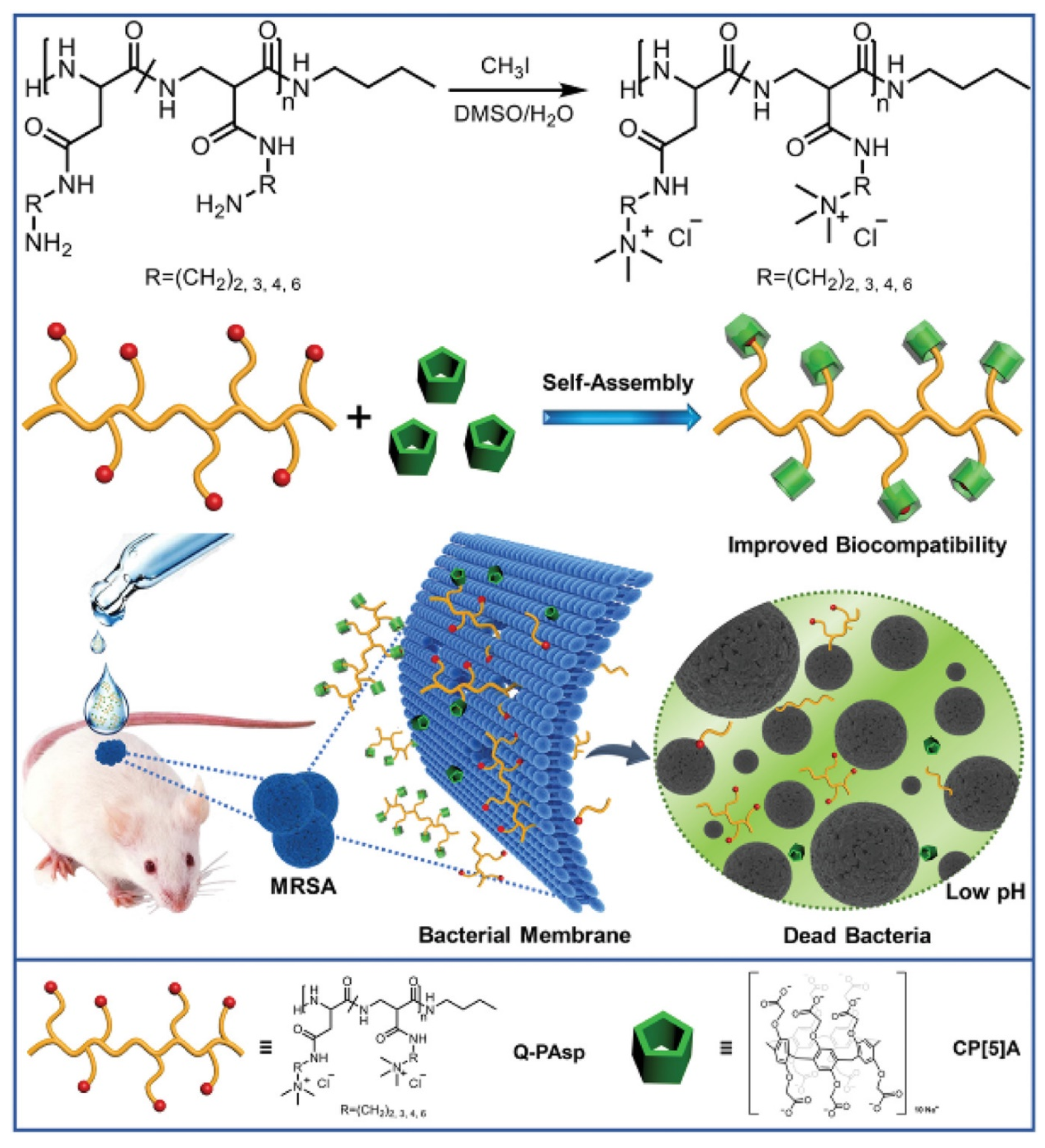 Pharmaceuticals 15 00804 g006