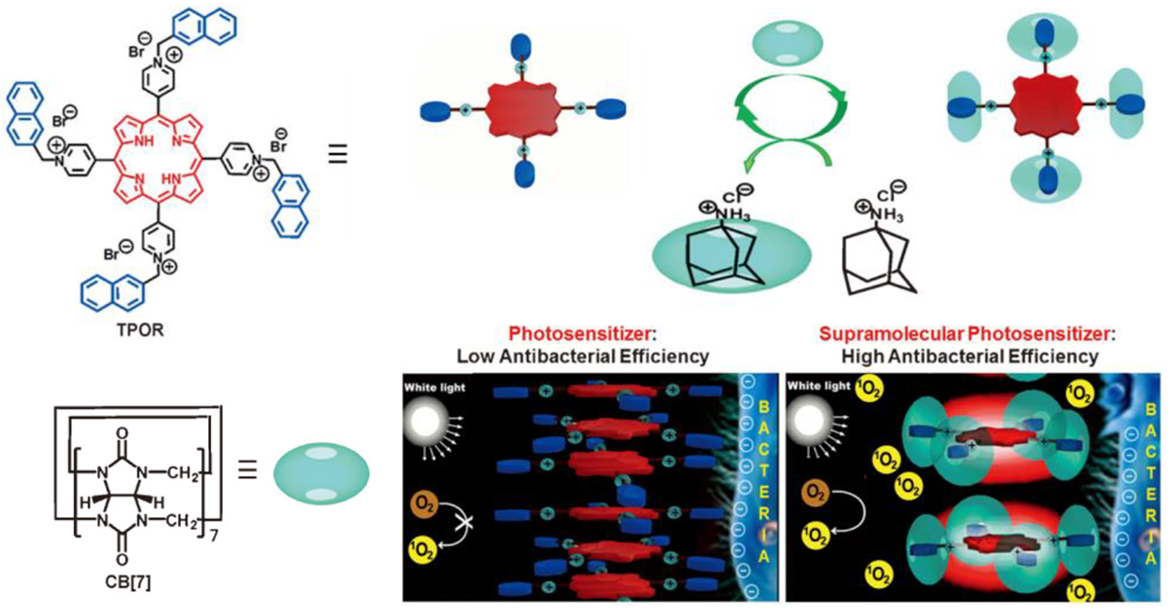 Pharmaceuticals 15 00804 g007
