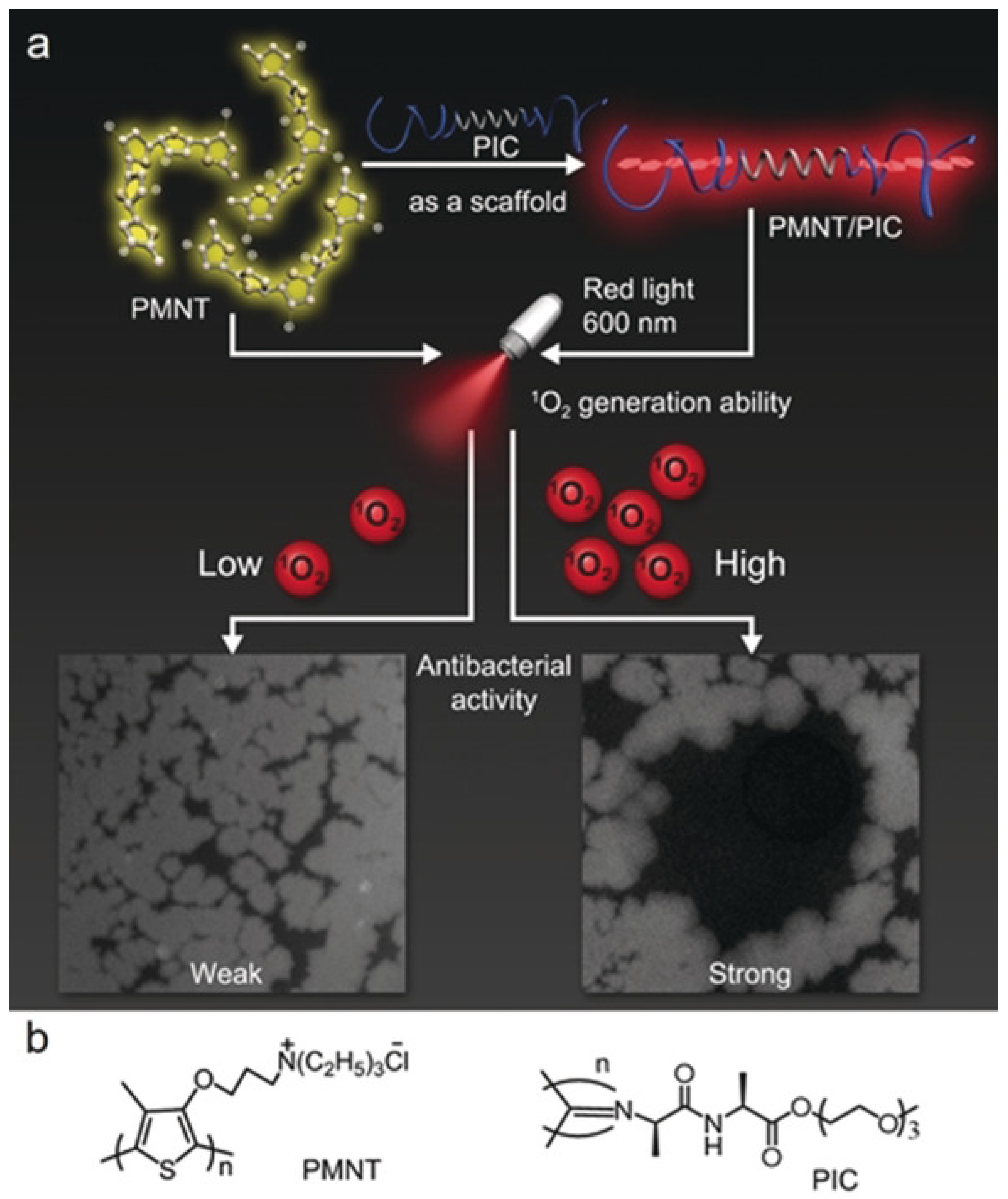 Pharmaceuticals 15 00804 g008
